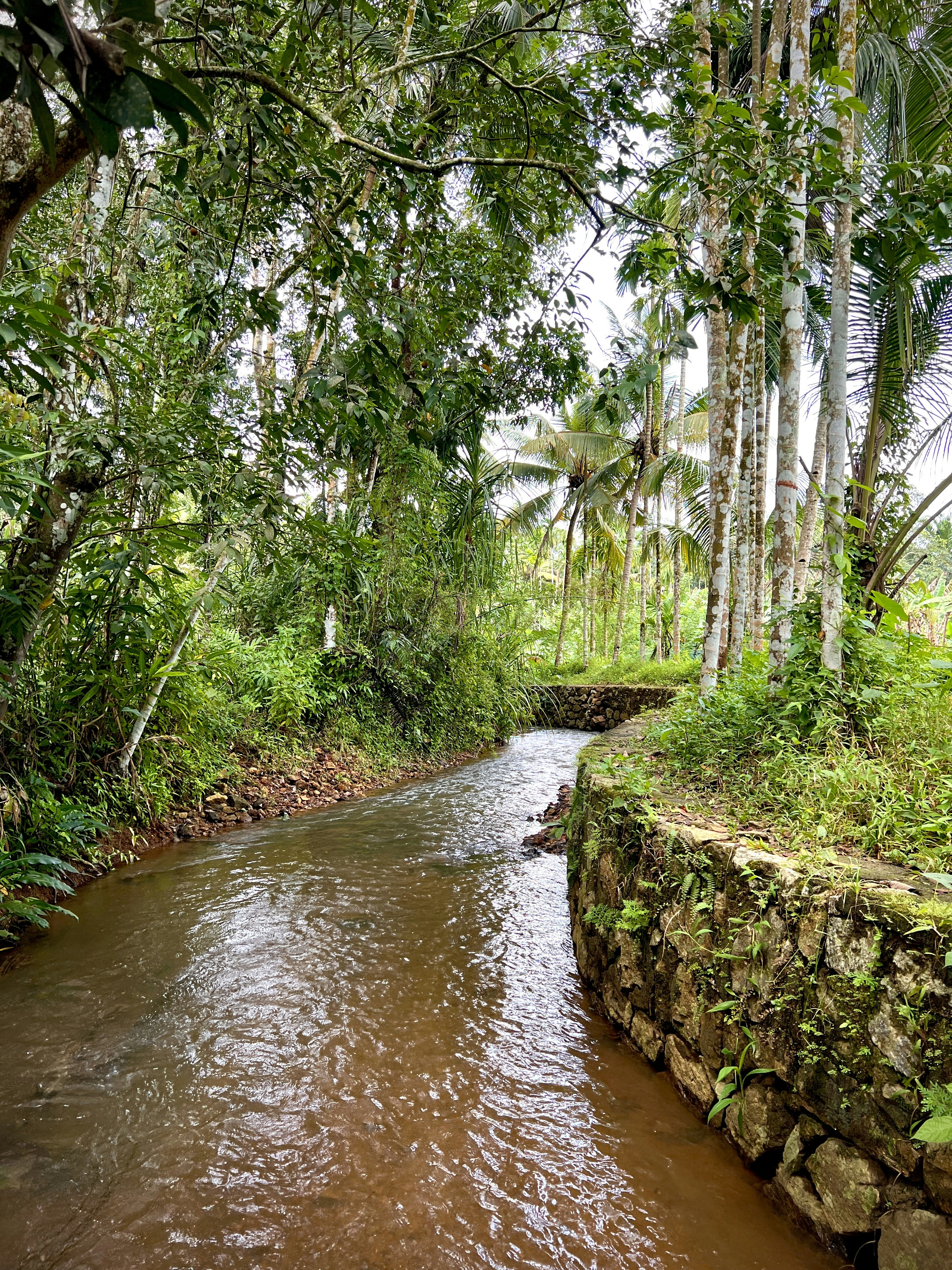 Photo by gopikrishnan_33