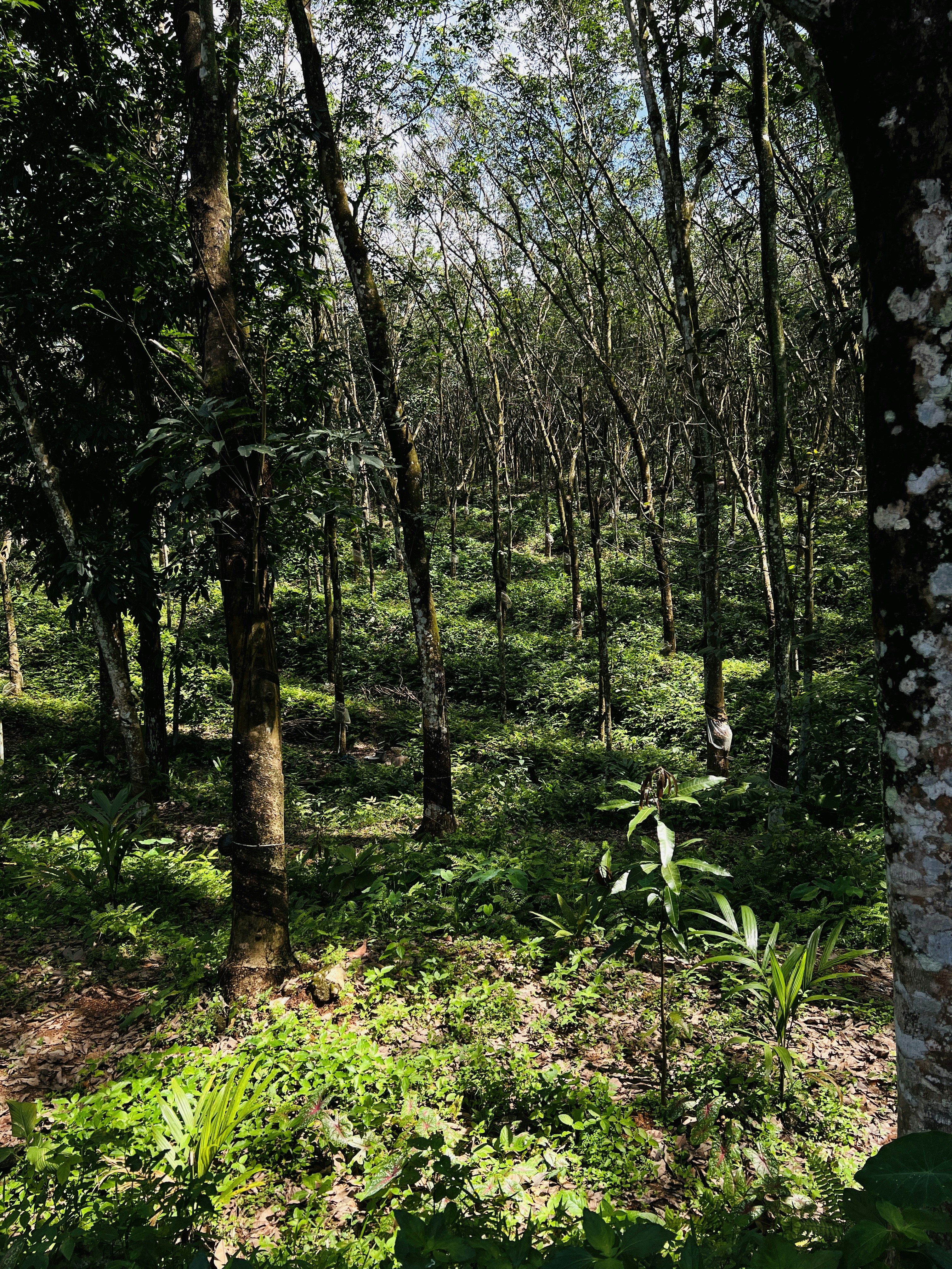 Photo by gopikrishnan_33