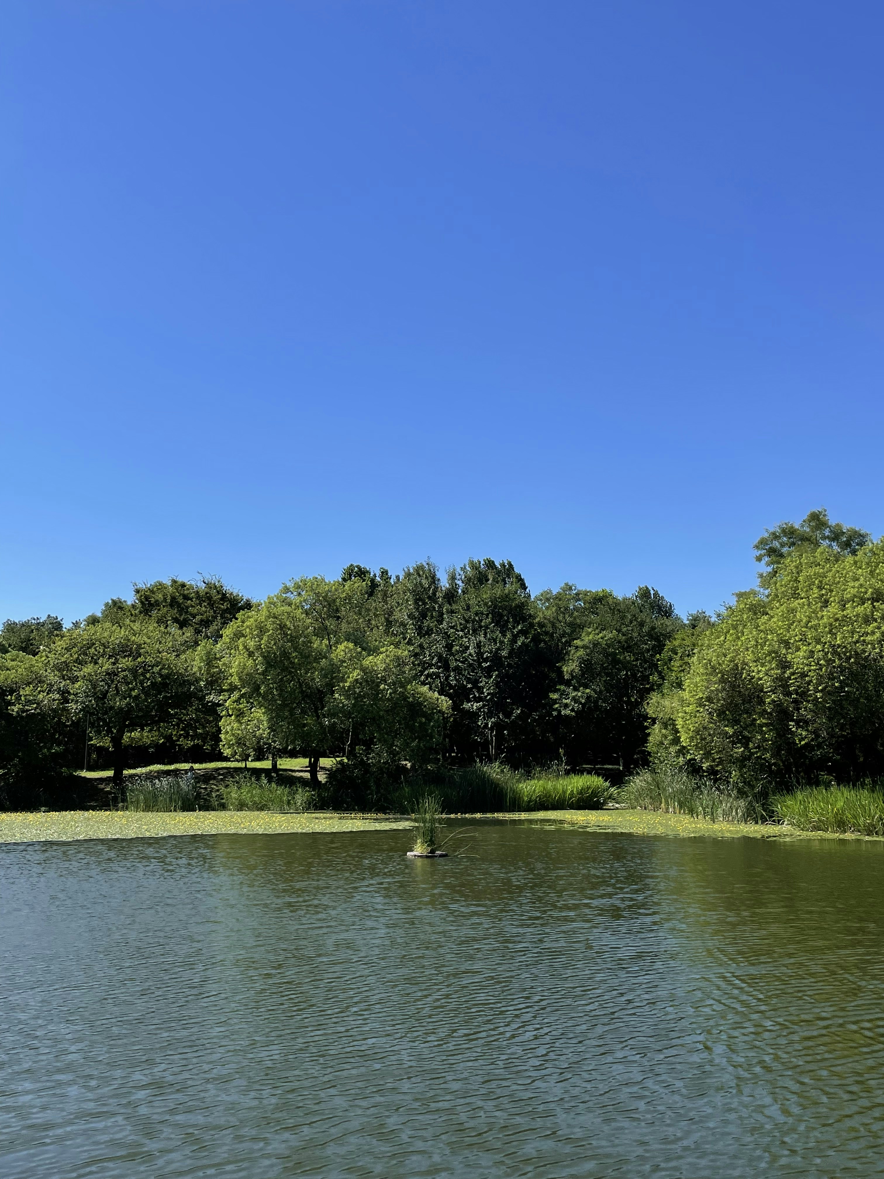 Photo by the_voyager141