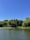 A peaceful natural pond reflecting the sky, bordered by wildflowers and trees.