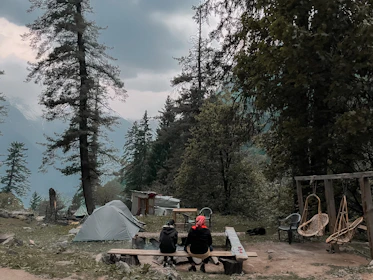 The oldft36 team setting up camp near towering pine trees, capturing the spirit of the outdoors.