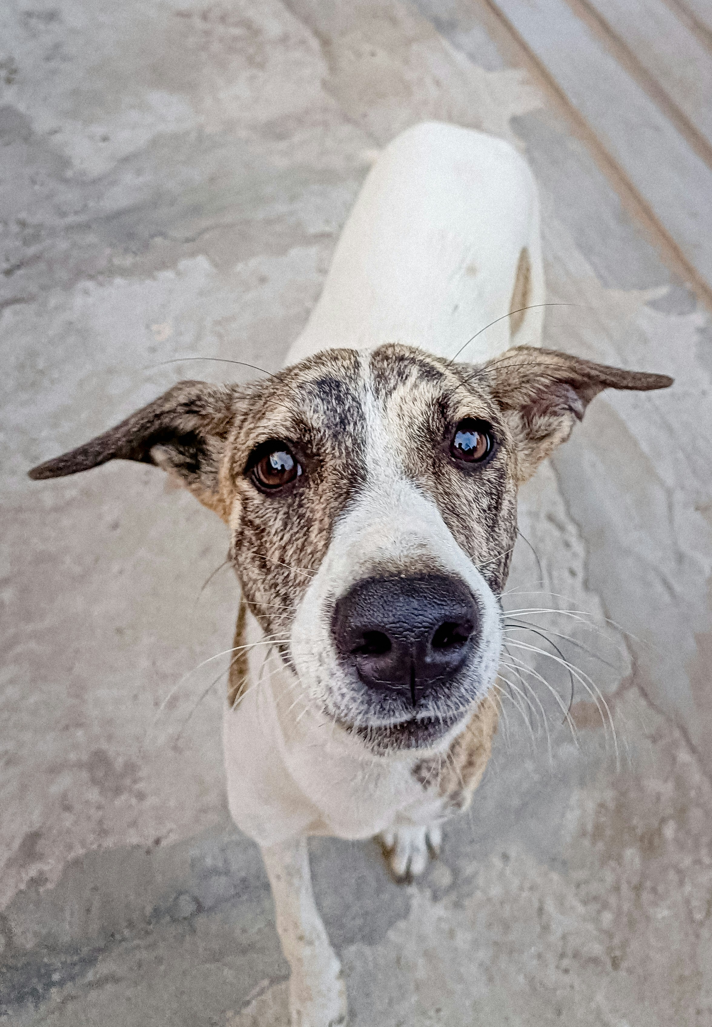 Photo by capturedmoments193