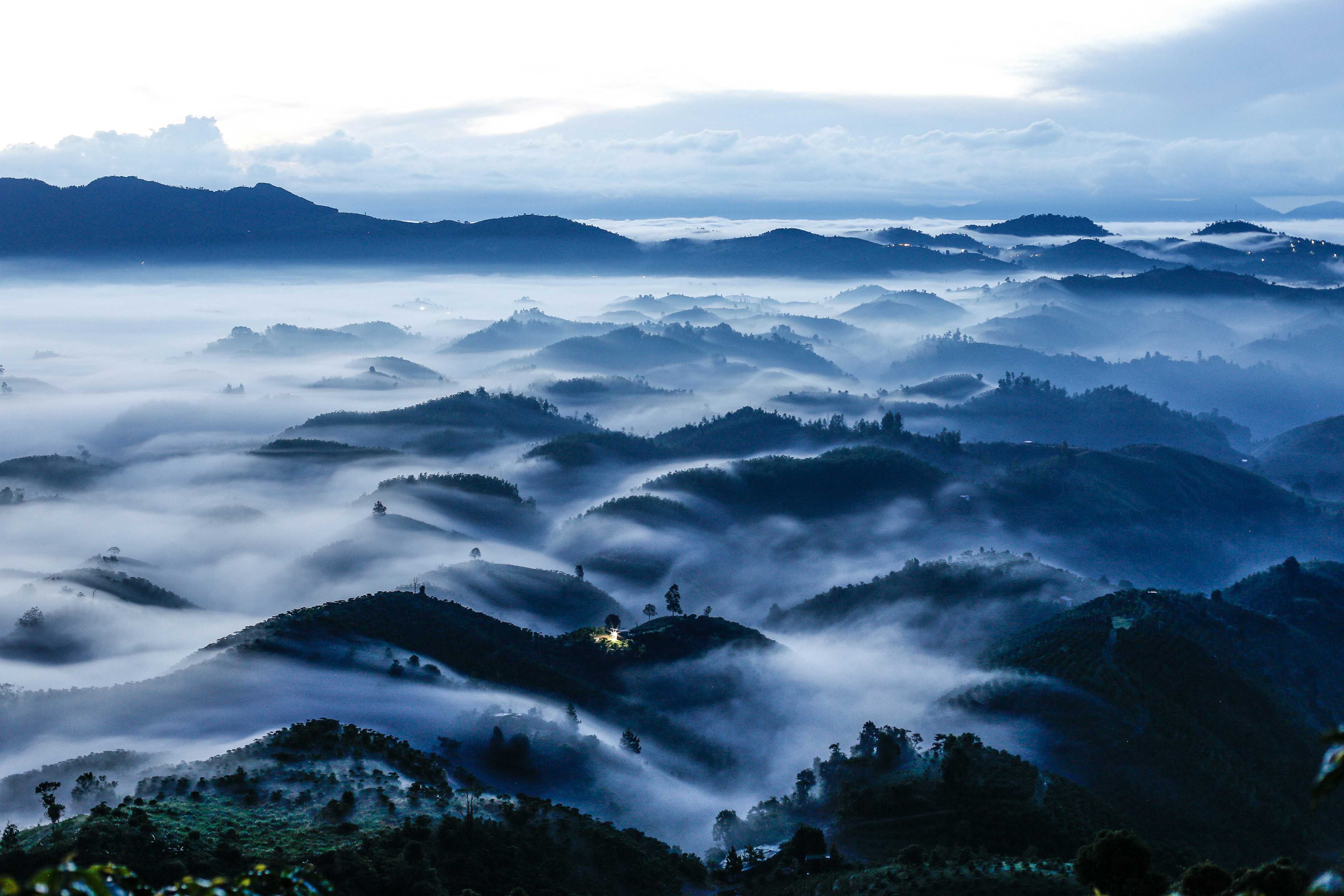 Photo by quangdieu195