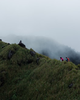 Two hikers with backpacks are walking along a grassy ridge with rock outcrops, surrounded by mist and fog, creating a serene and adventurous atmosphere.