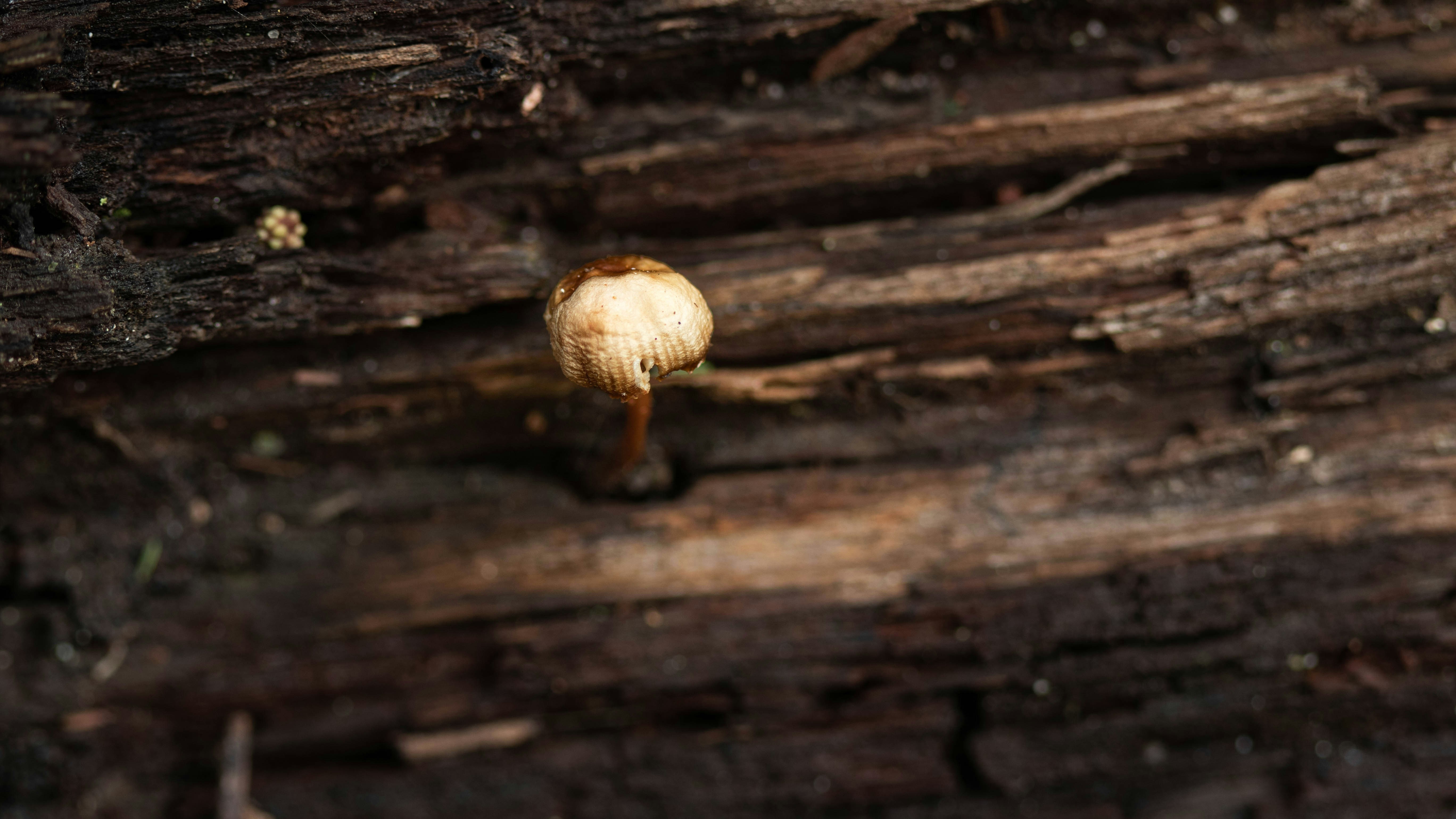 Photo by richie_slai