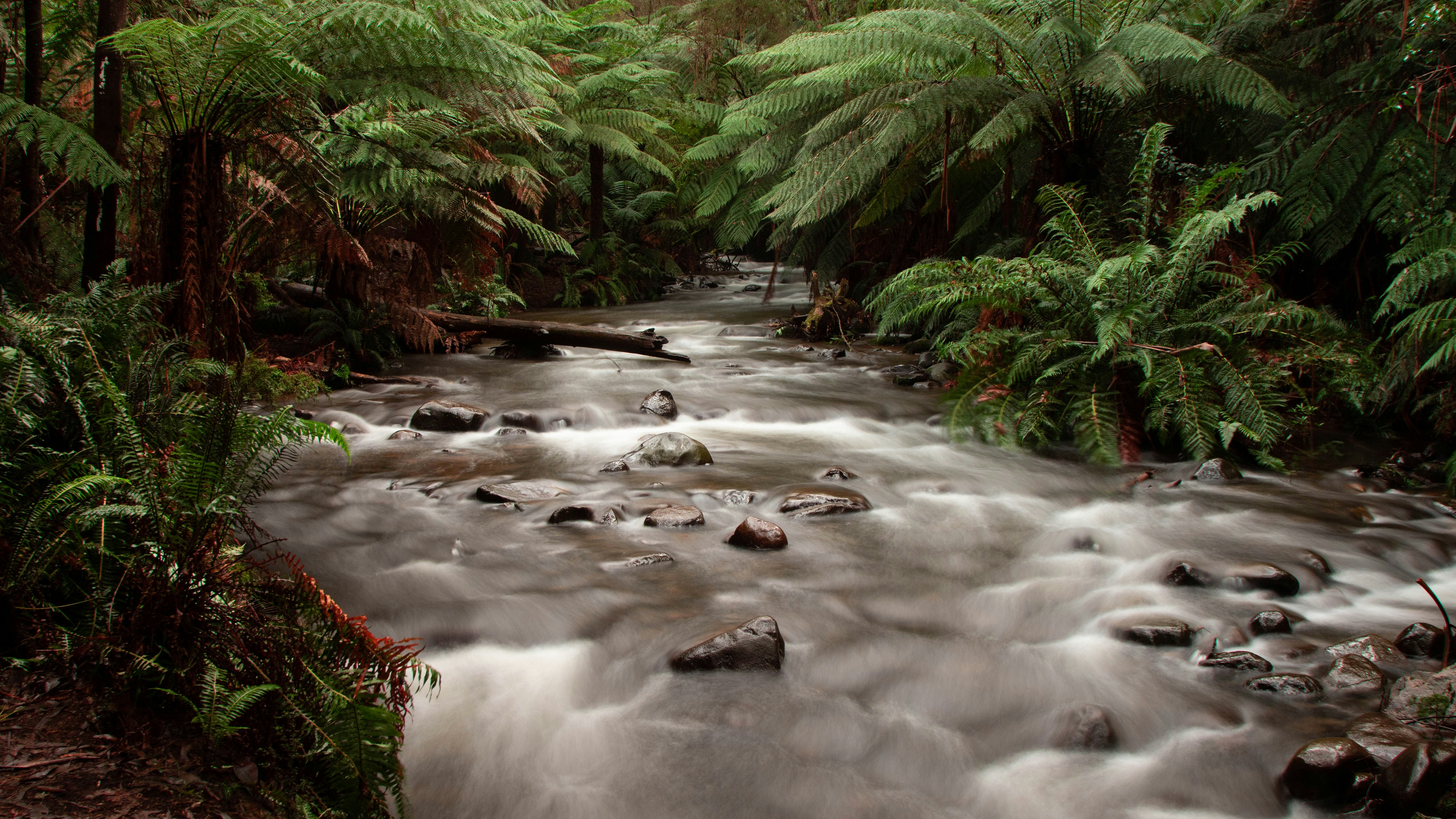 Photo by richie_slai