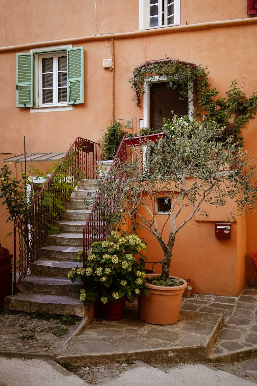 un arbre devant un bâtiment