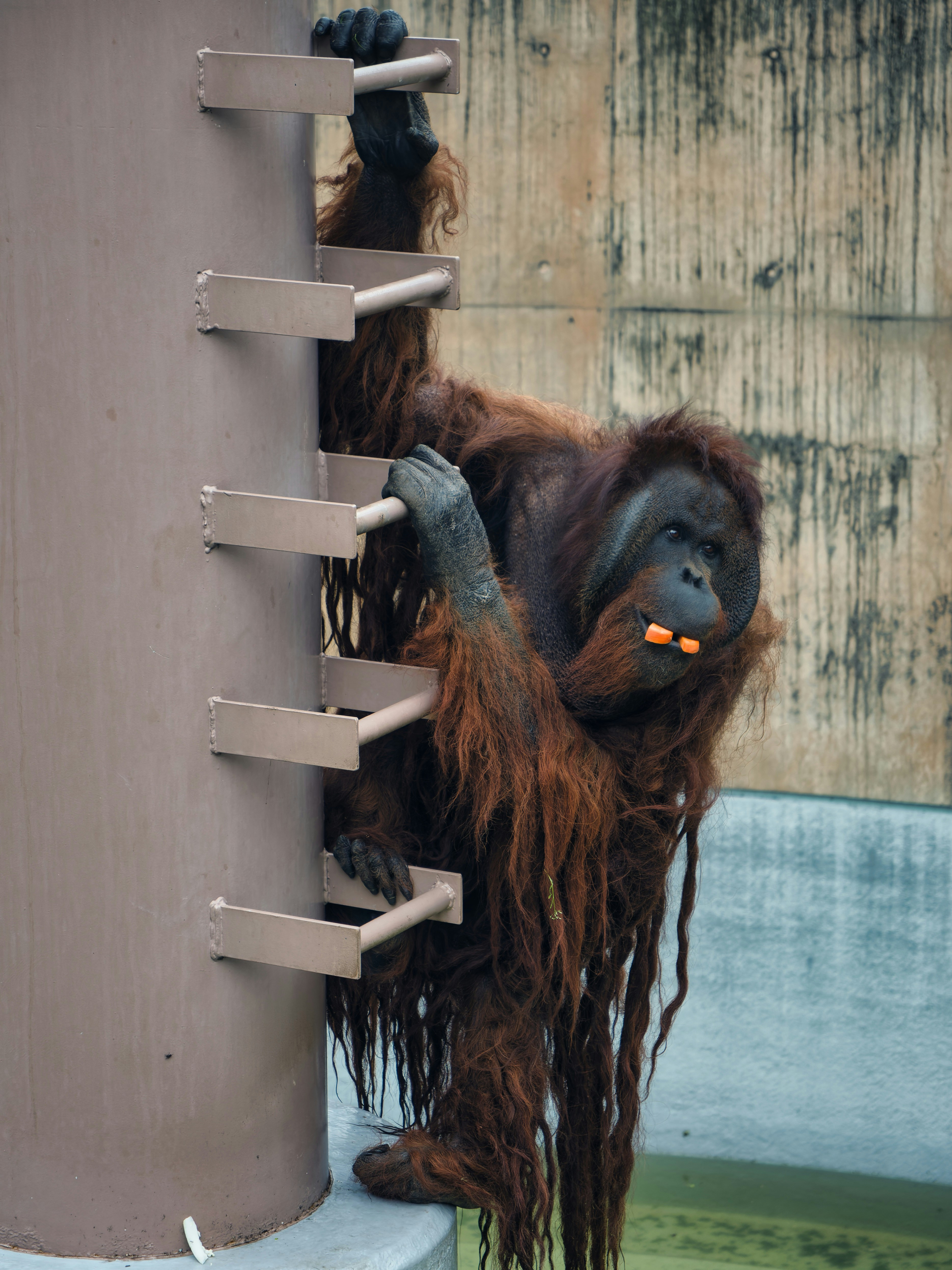 Photo by murakami1991