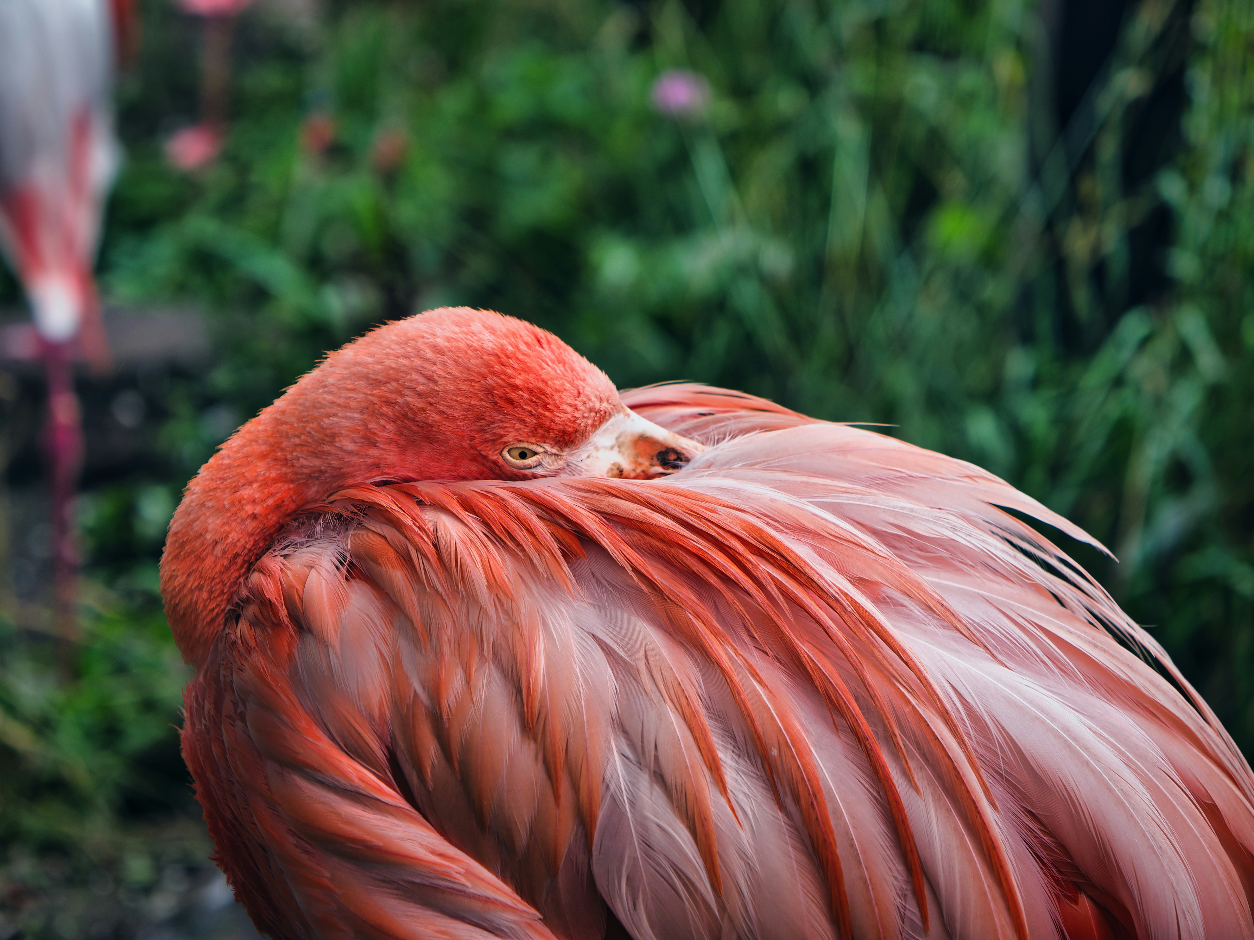 Photo by murakami1991