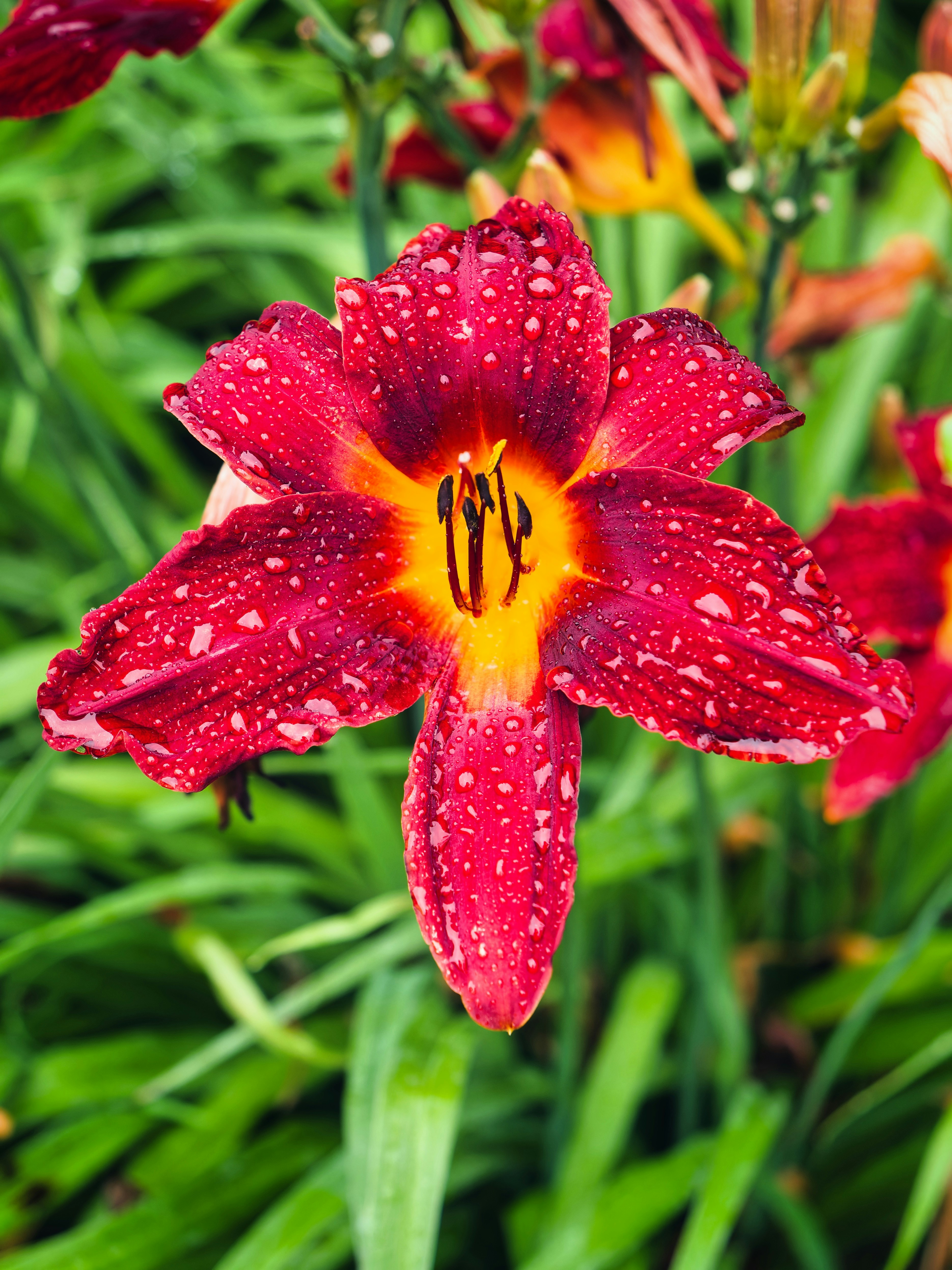 Photo by murakami1991