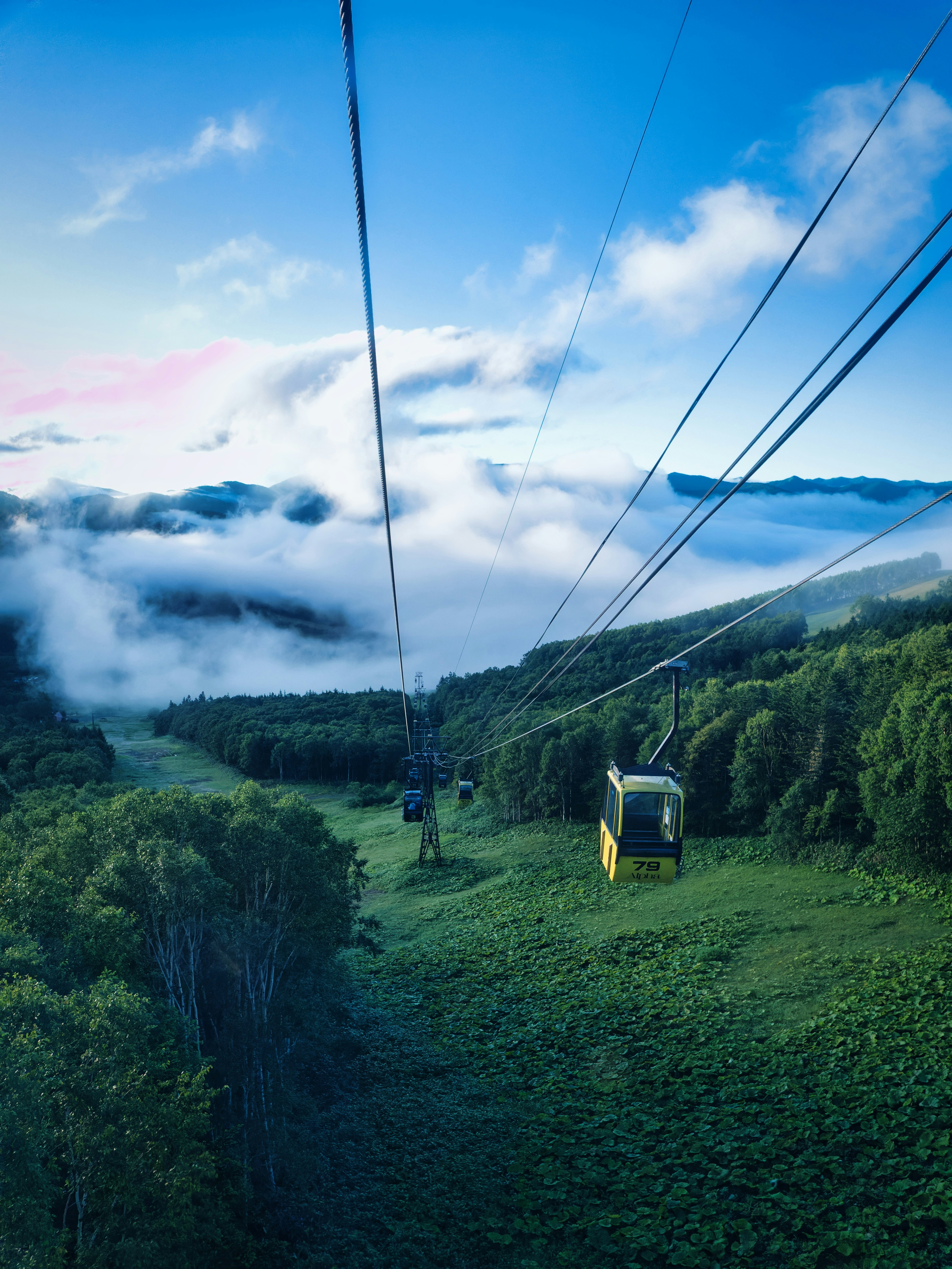 Photo by murakami1991