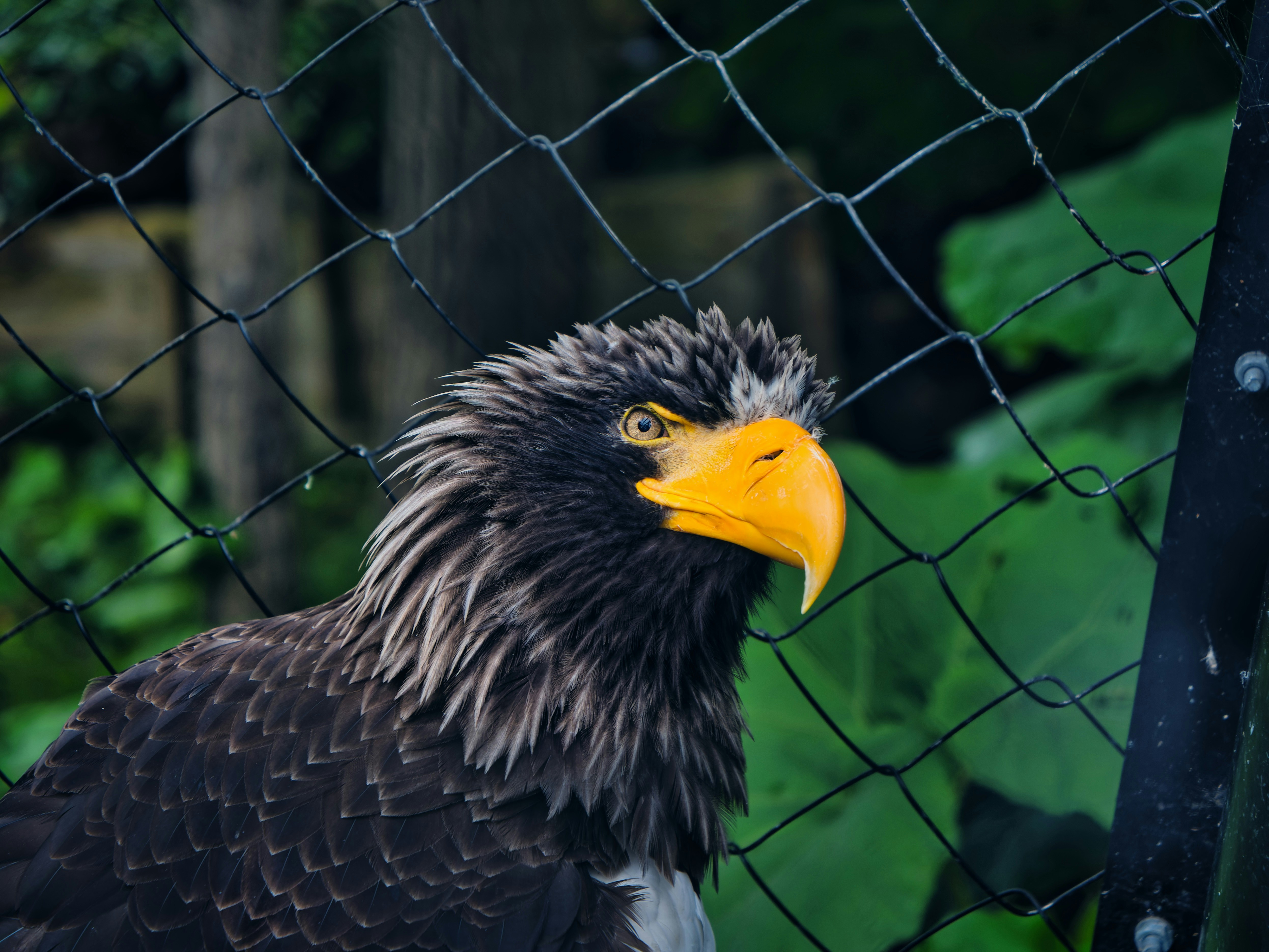 Photo by murakami1991