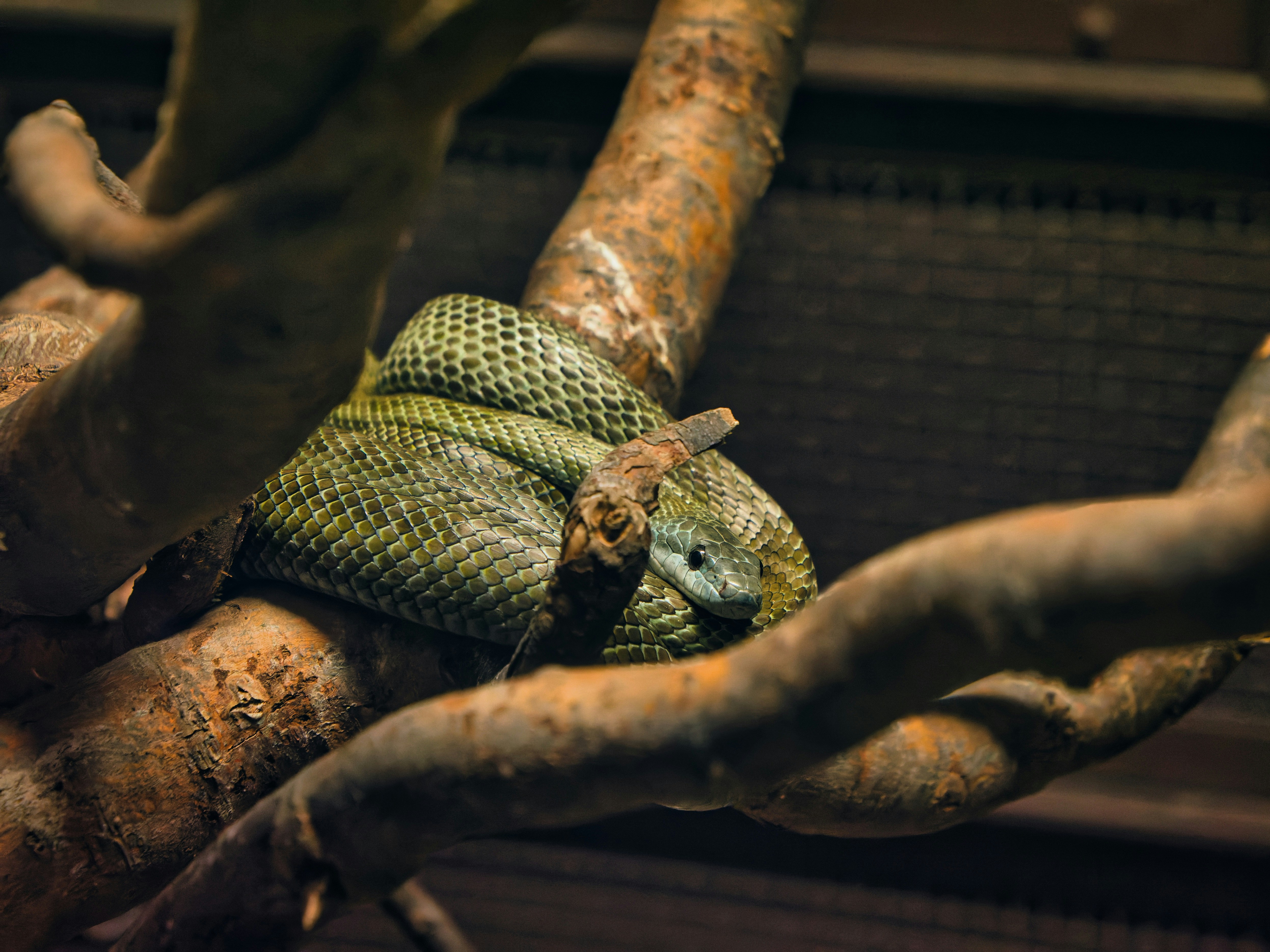 Photo by murakami1991