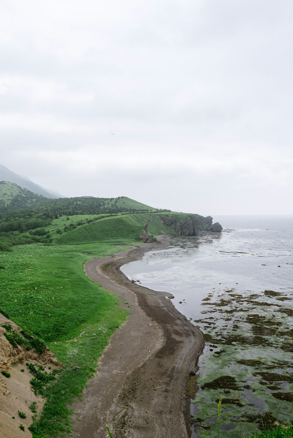 a beach with grass and rocks by the water