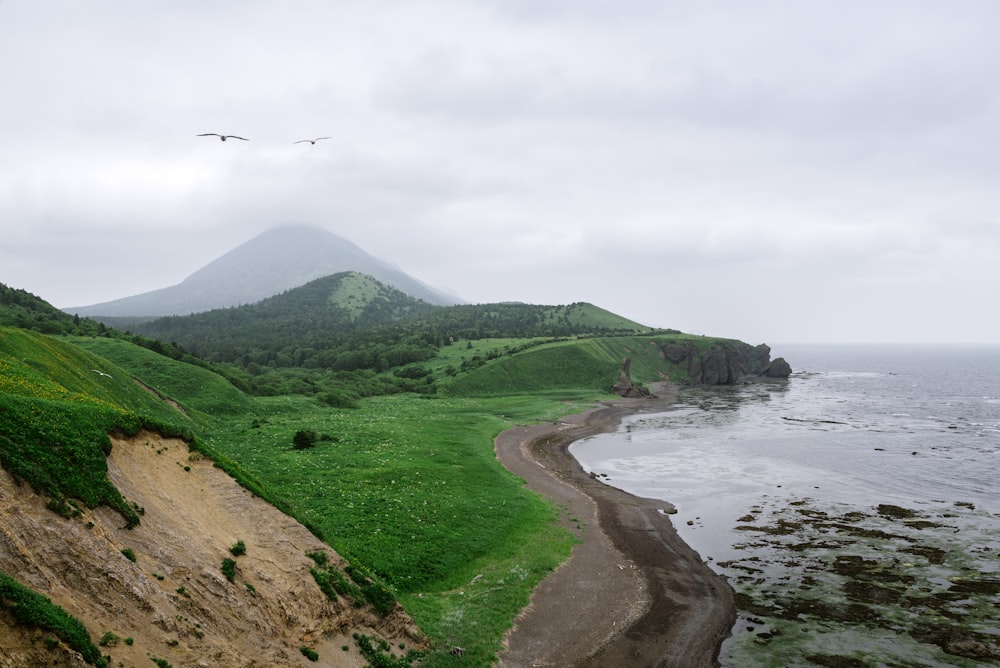 a path leading to a beach