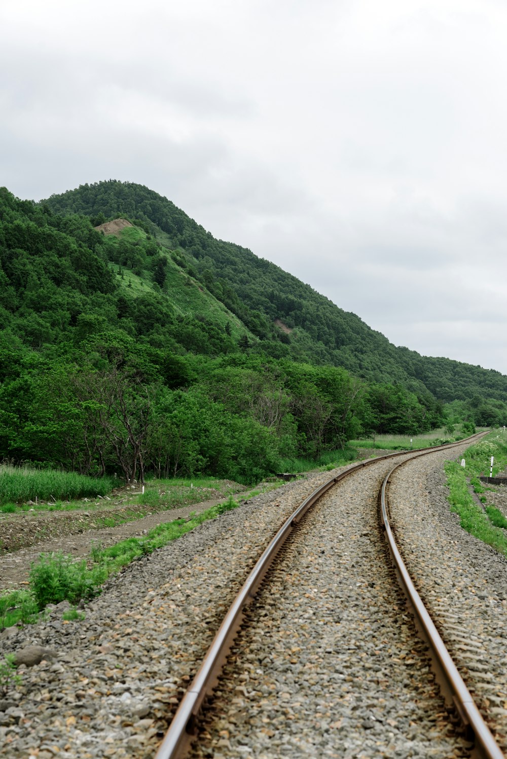 voies ferrées traversant une forêt