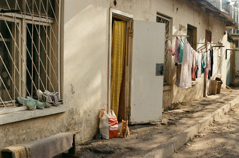 Ropa secándose en línea