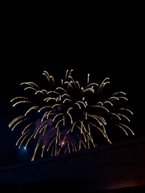 Bright golden and white fireworks burst against the night sky, creating a striking contrast with the dark backdrop. Numerous streaks of light radiate outward from the center, giving the appearance of blossoming flowers. A faint outline of a building is visible below, silhouetted by the glow.