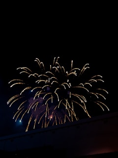 Bright golden and white fireworks burst against the night sky, creating a striking contrast with the dark backdrop. Numerous streaks of light radiate outward from the center, giving the appearance of blossoming flowers. A faint outline of a building is visible below, silhouetted by the glow.
