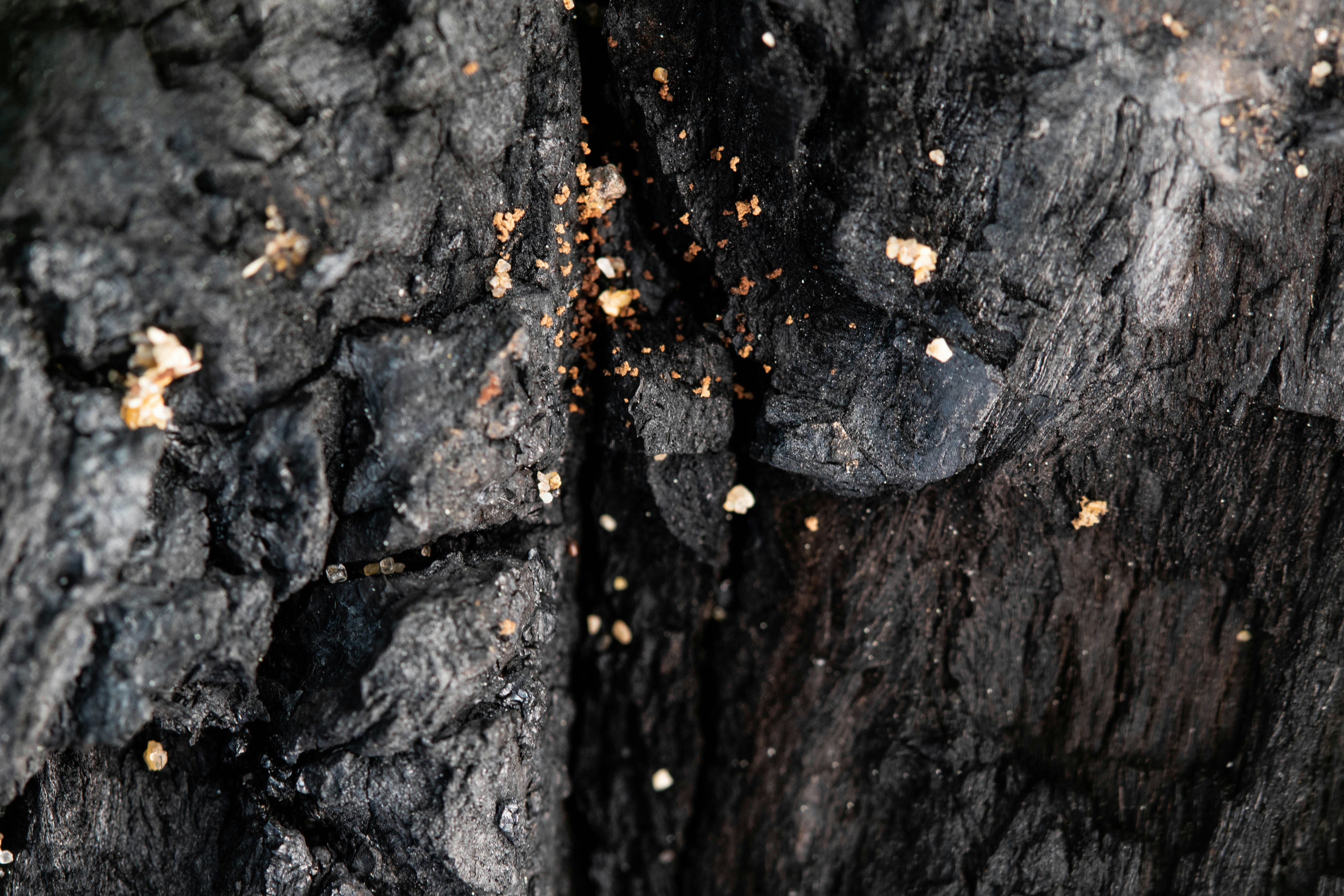 Photo by richie_slai