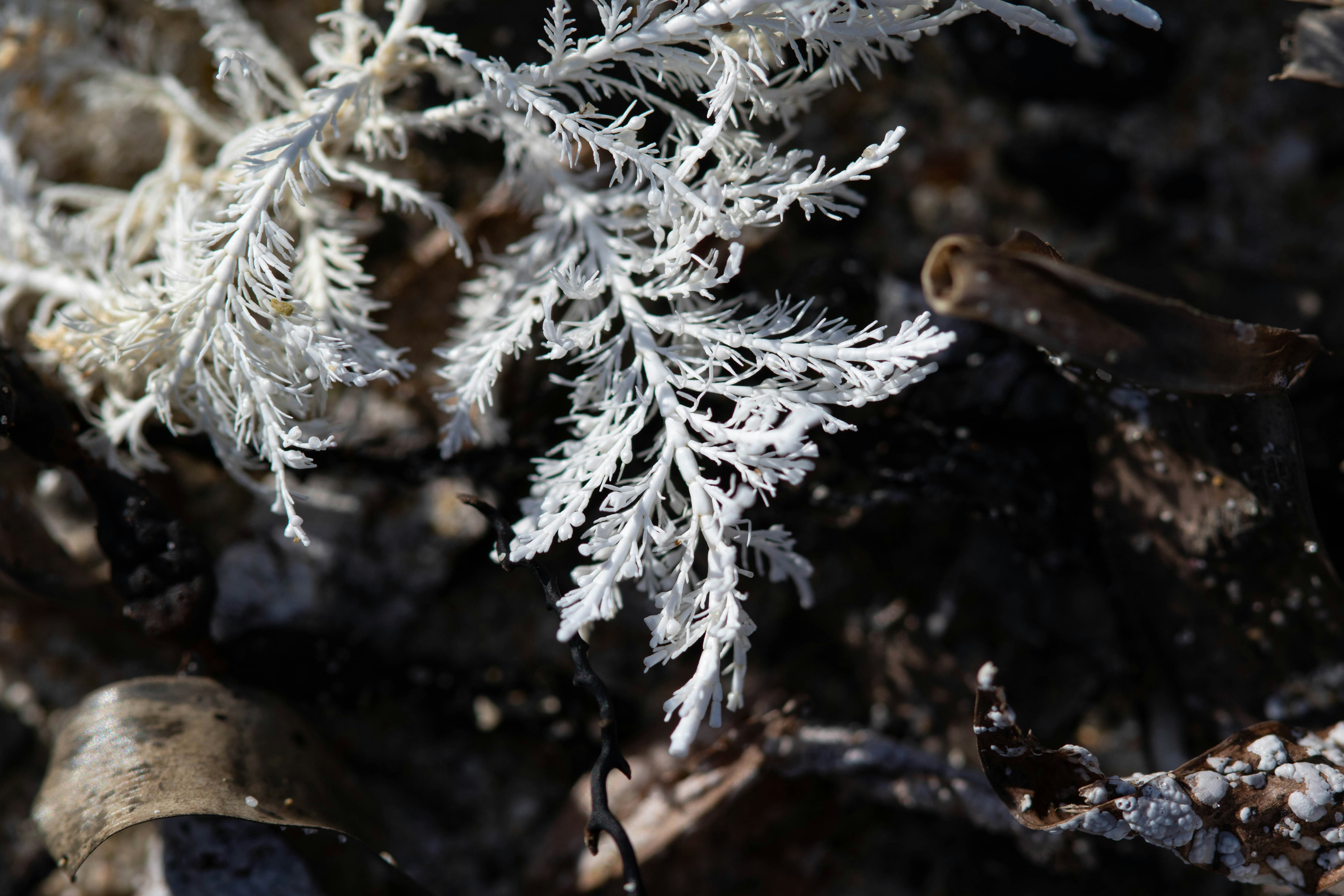 Photo by richie_slai