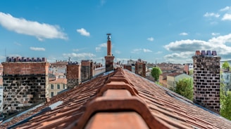 A rooftop scene featuring multiple brick chimneys with a clear, blue sky in the background. The foreground shows an angled view along a red-tiled roof, and various buildings with different colored facades are visible in the distance. Green trees are interspersed among the buildings, adding a touch of nature to the urban setting.