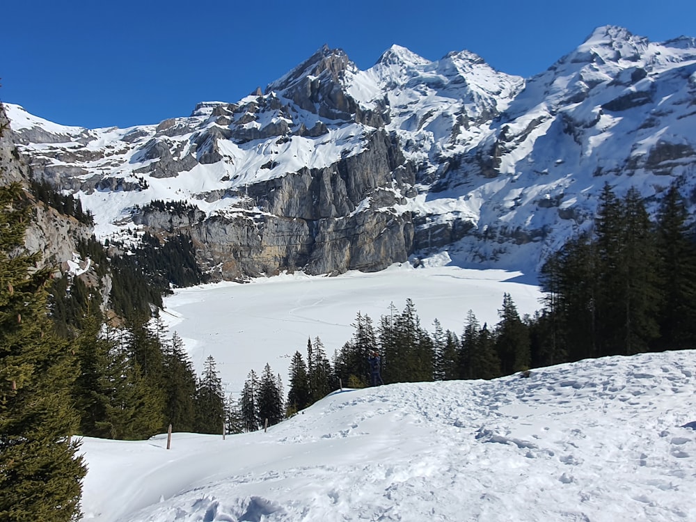 a snowy mountain with trees and mountains