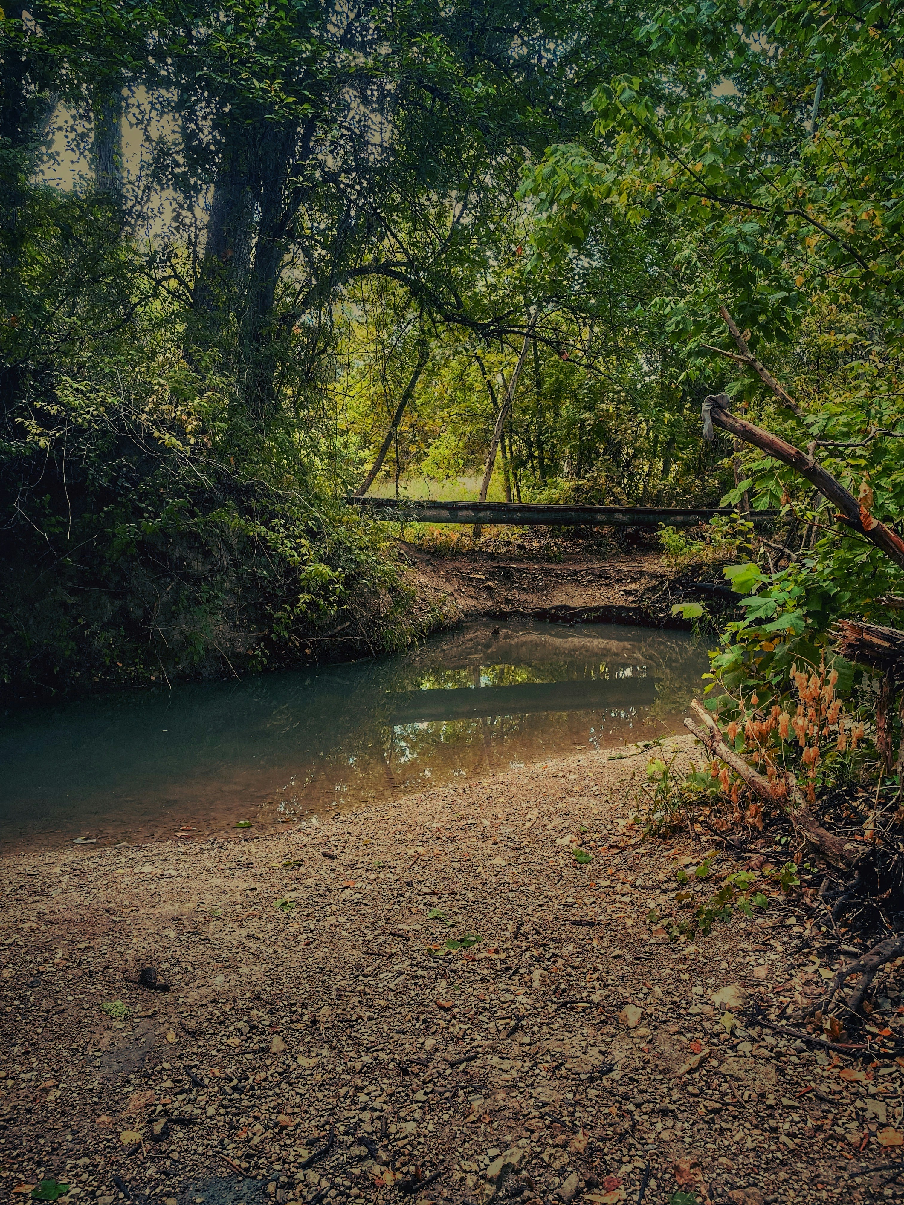 Photo by esmirna2310