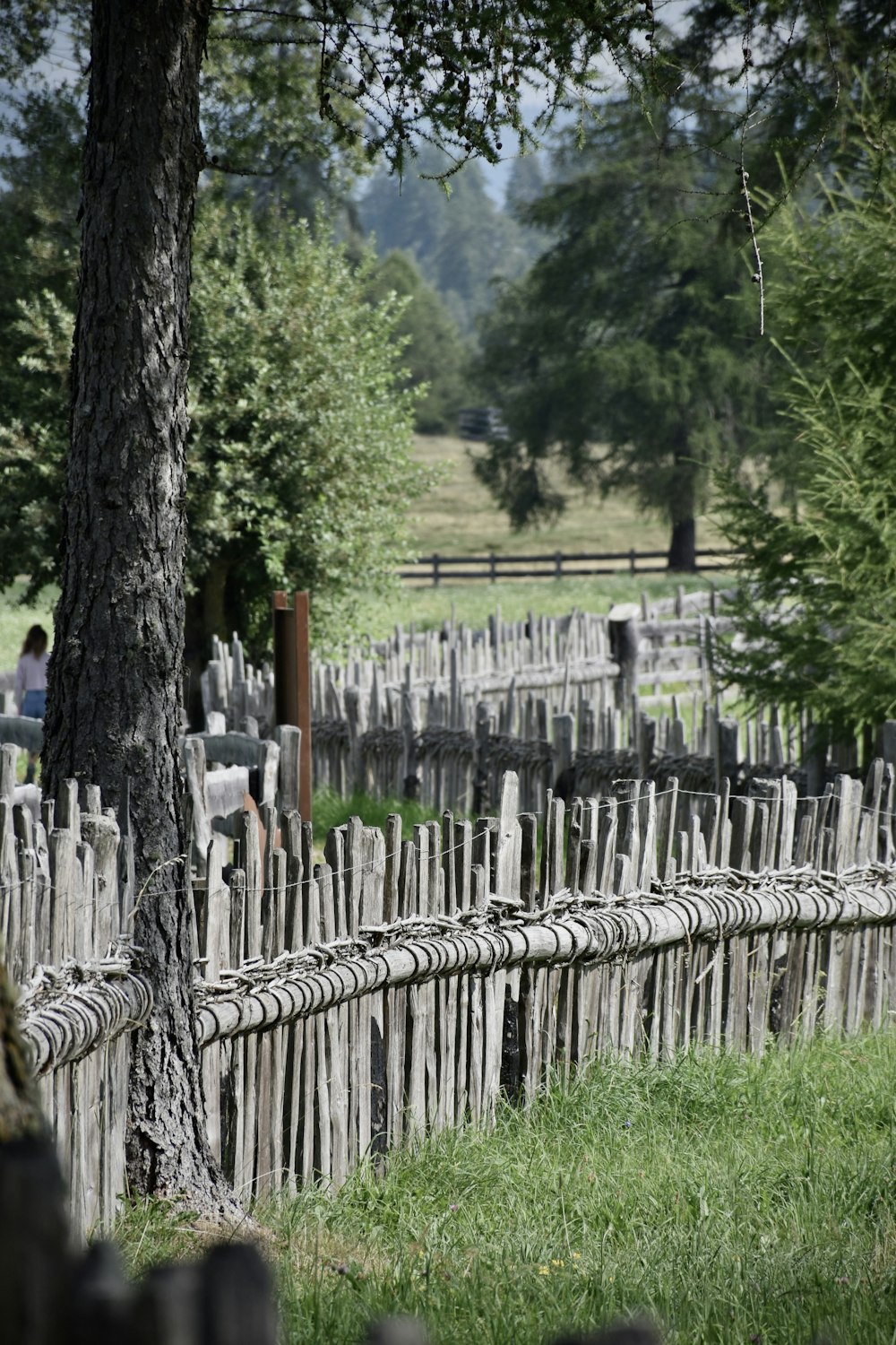 a fenced in area with a tree and a wooden fence