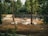 A group of deer resting in a shaded, fenced enclosure surrounded by dense greenery. The ground is covered with brown dirt, and there are a few tree trunks and logs scattered around. Large trees border the area, casting a serene and natural atmosphere.