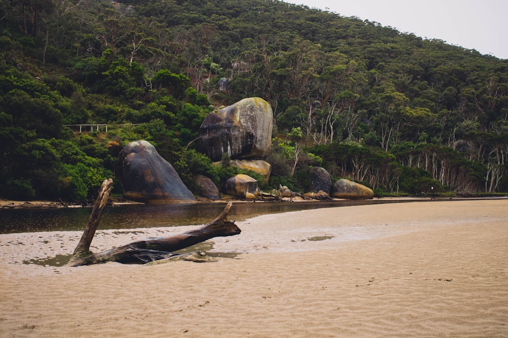 a beach with large rocks