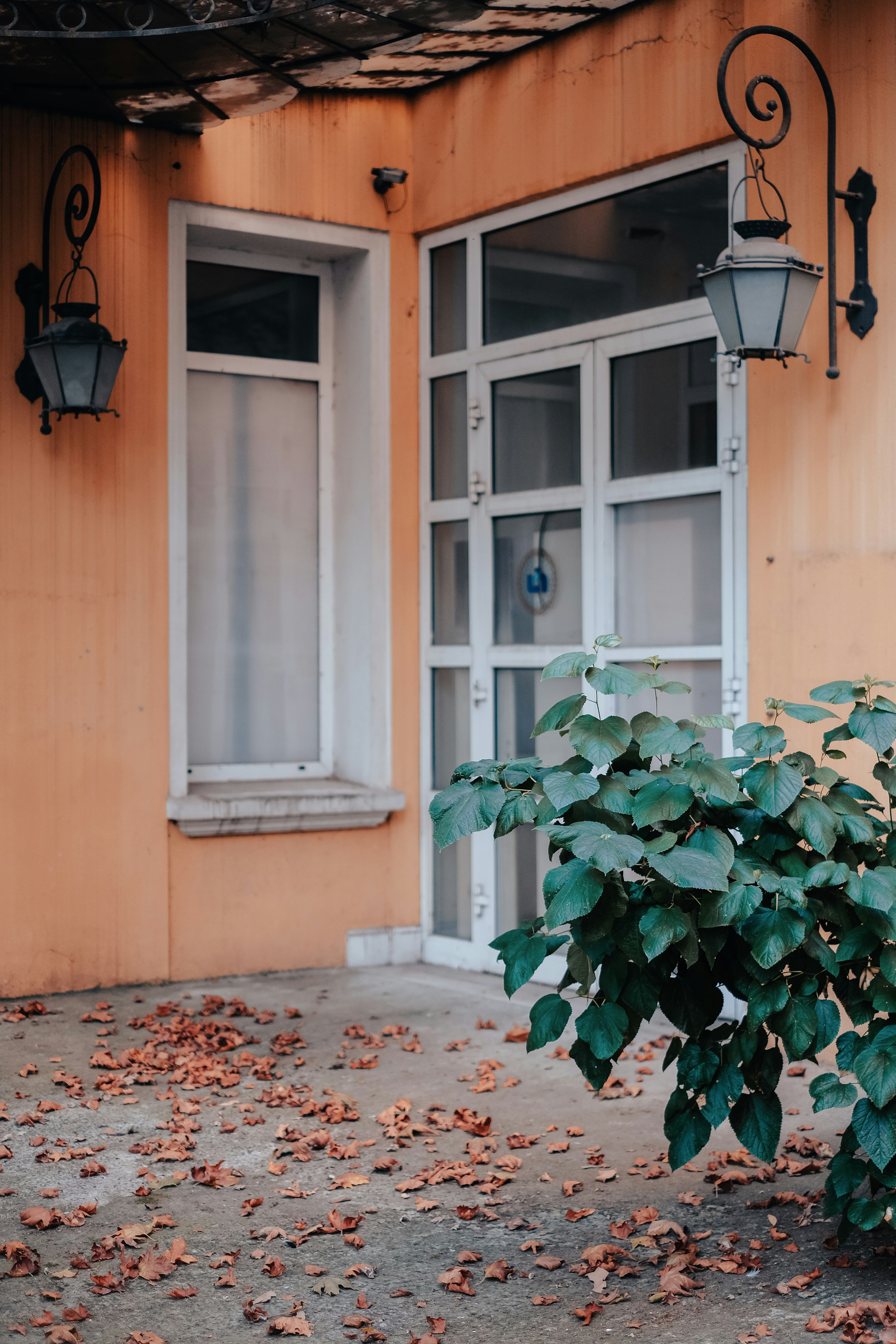 Photo by mutecevvil