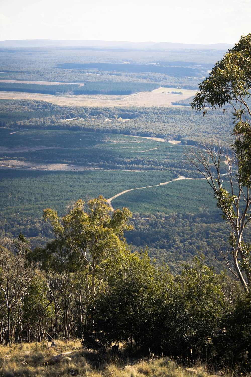 a river running through a valley