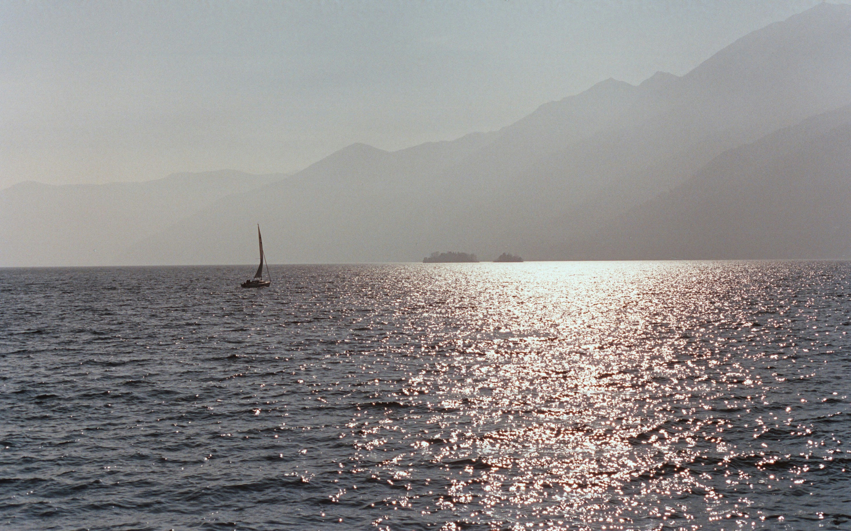 Photo by laurenceziegler