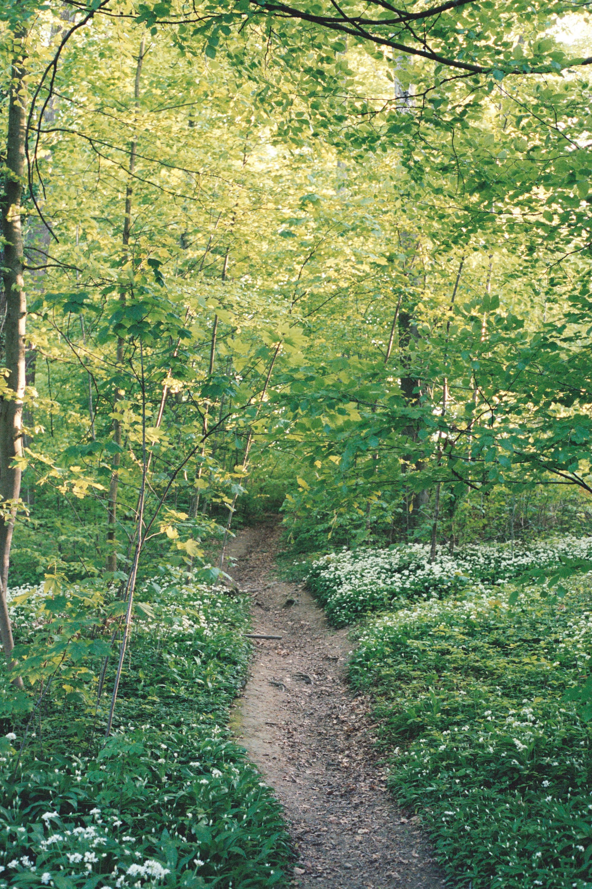 Photo by laurenceziegler