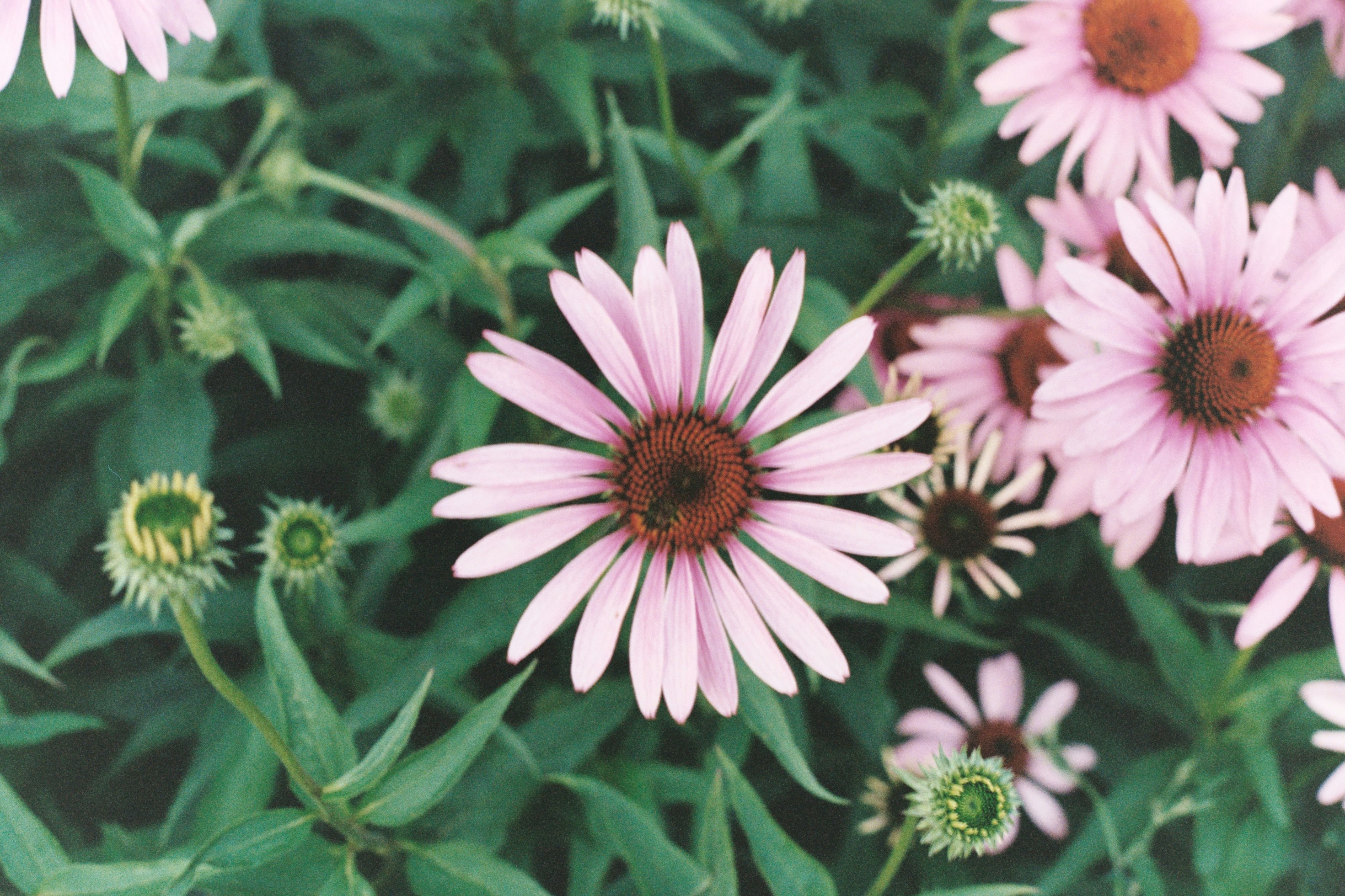 Photo by laurenceziegler