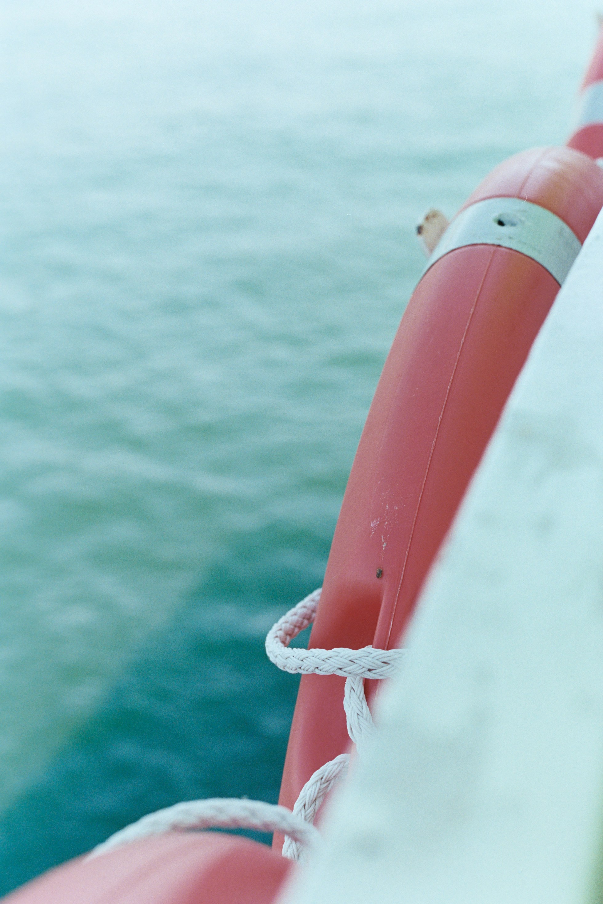 Photo by laurenceziegler