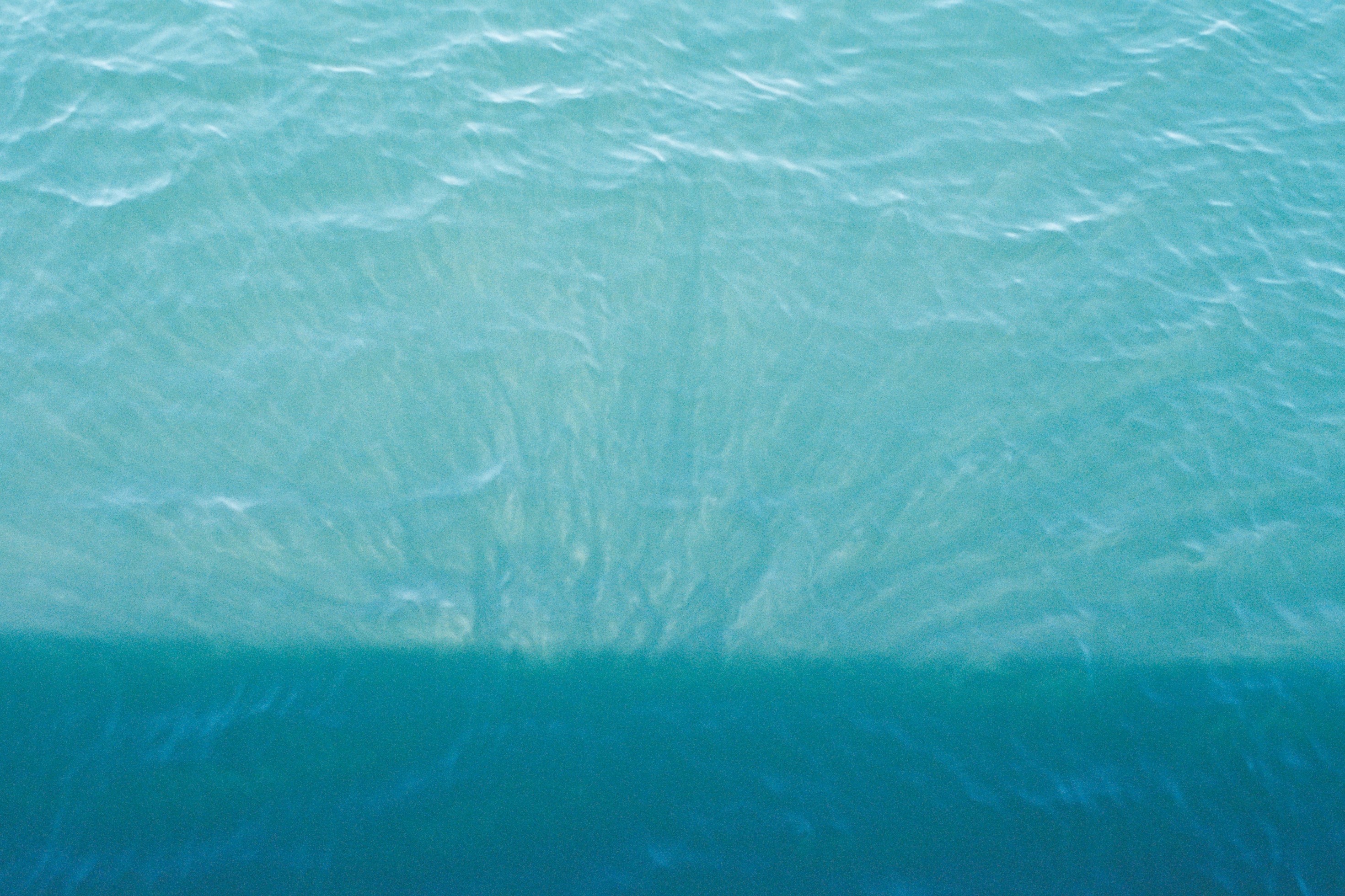 Photo by laurenceziegler