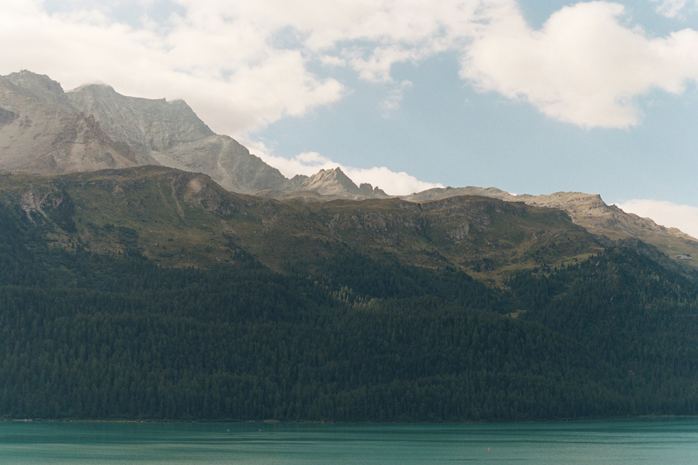 Photo by laurenceziegler