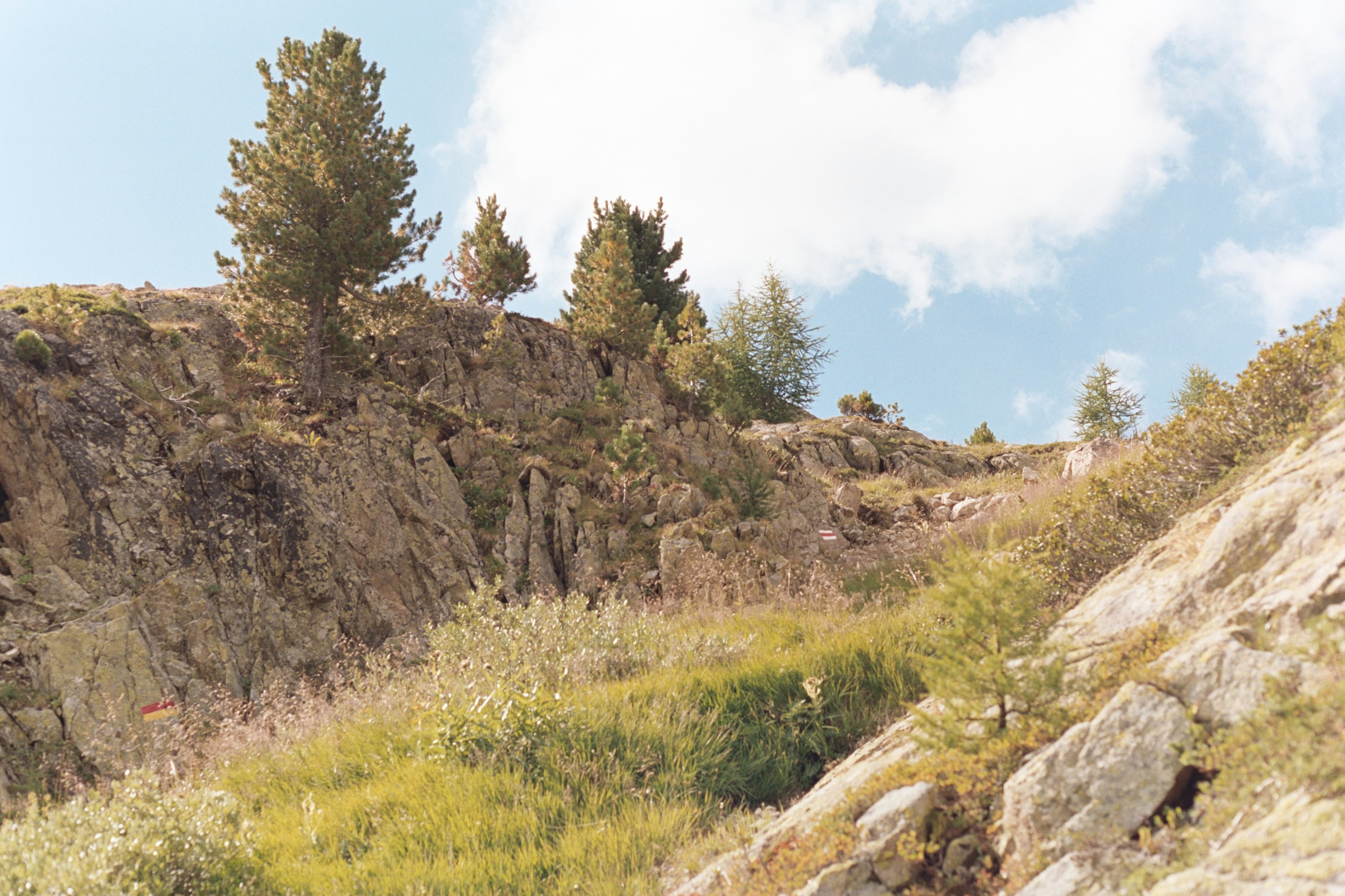 Photo by laurenceziegler