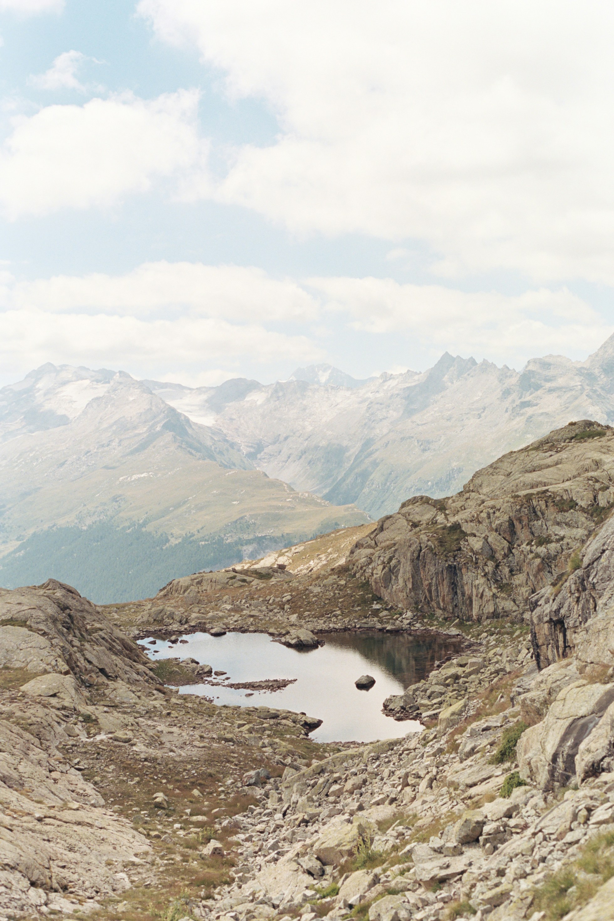 Photo by laurenceziegler