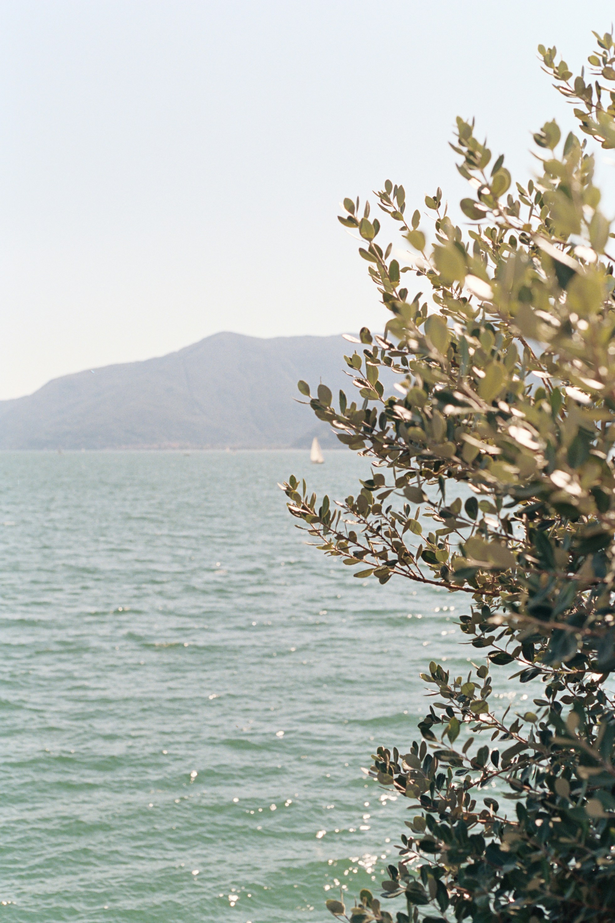 Photo by laurenceziegler