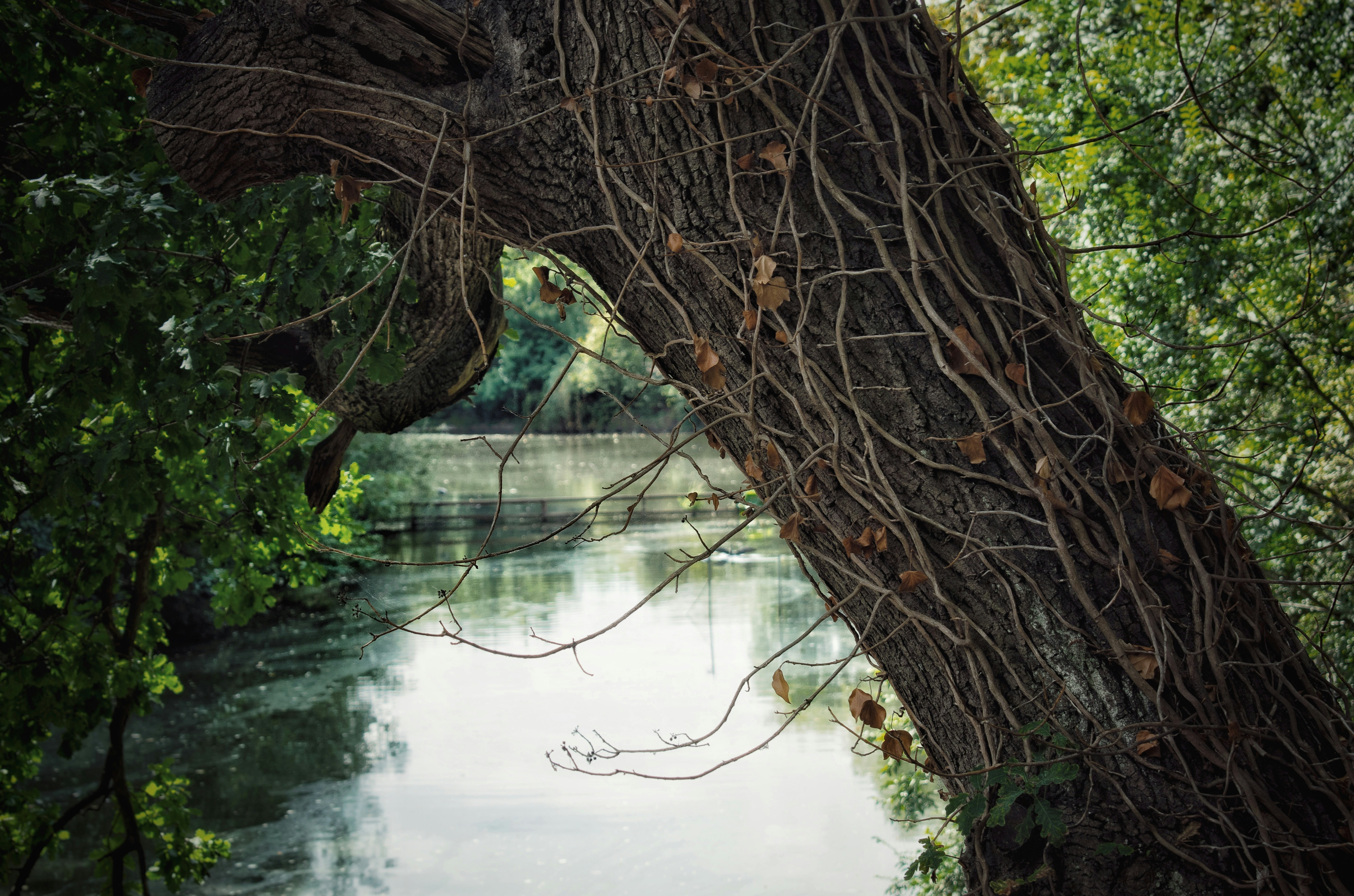 Photo by sergio76garcia