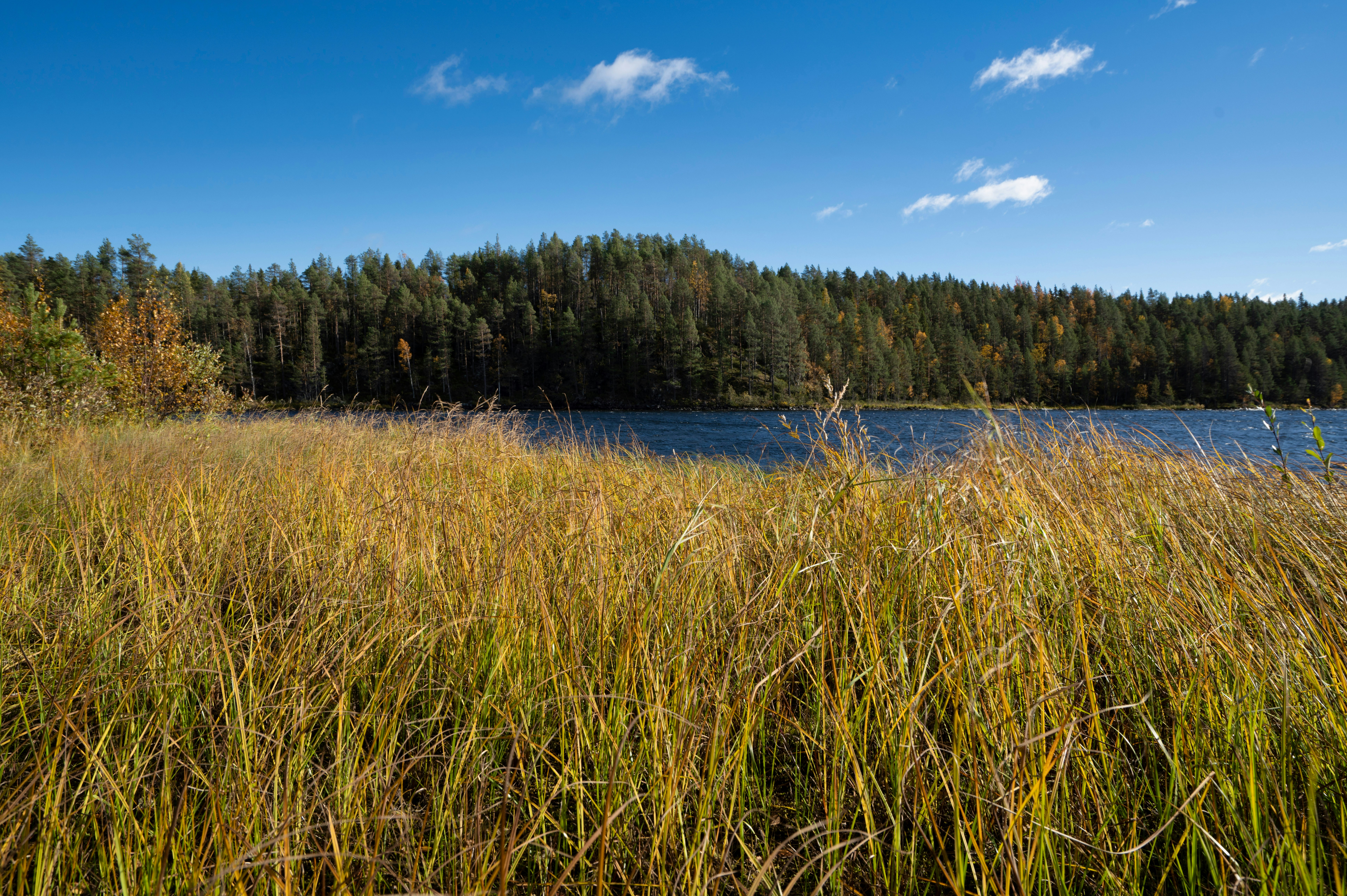 Photo by datingscout