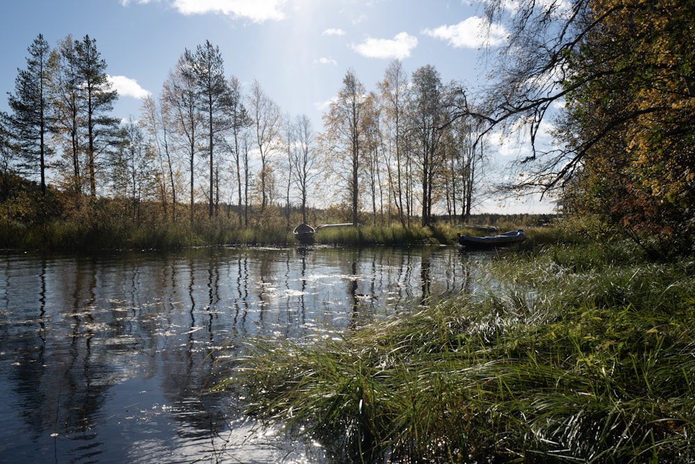 a river with a boat in it