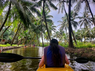 A person is kayaking along a narrow waterway surrounded by lush, towering palm trees. The water reflects the greenery and the clear sky, creating a serene and tropical atmosphere. Other kayakers can be seen ahead, moving along the same path.