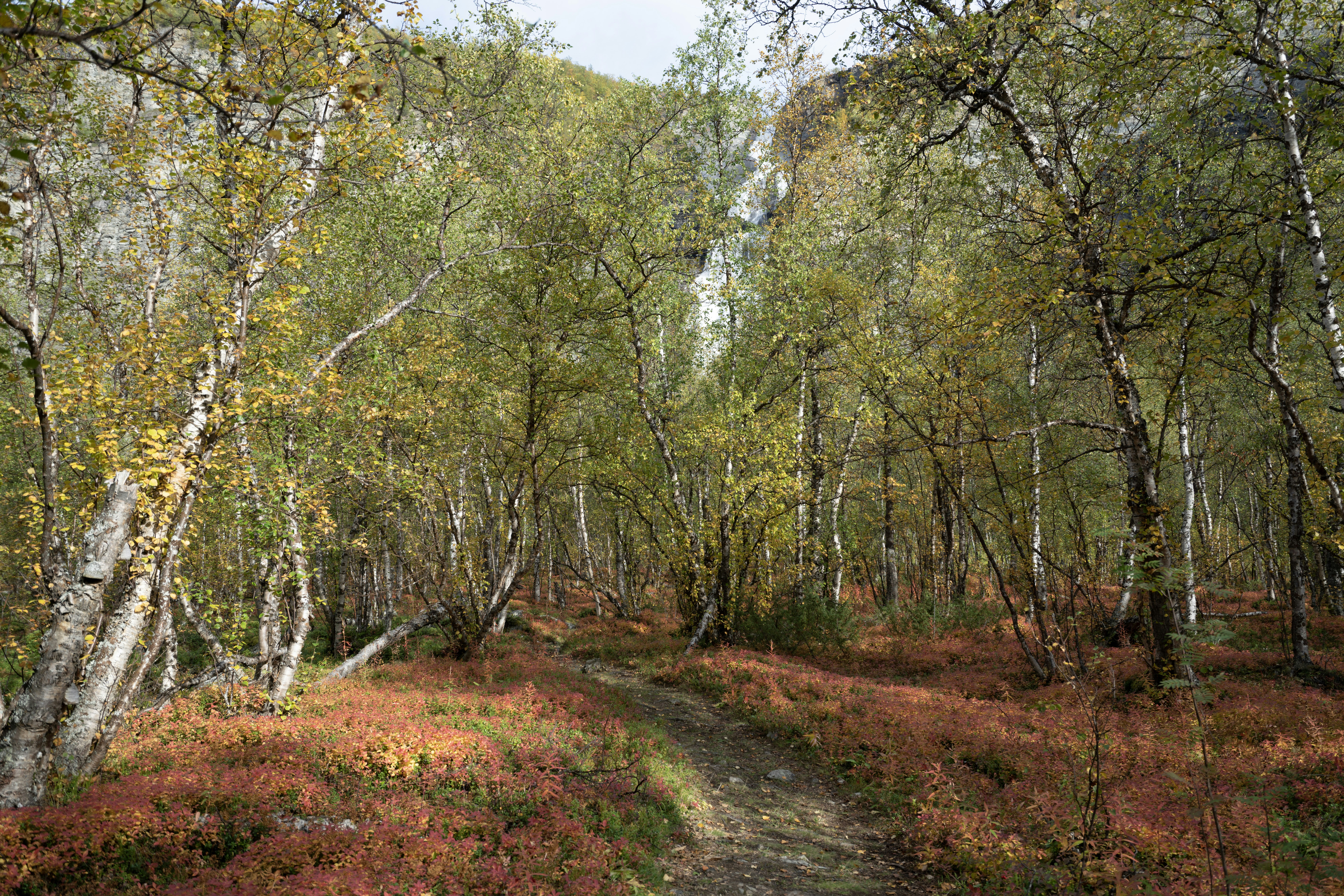 Photo by datingscout