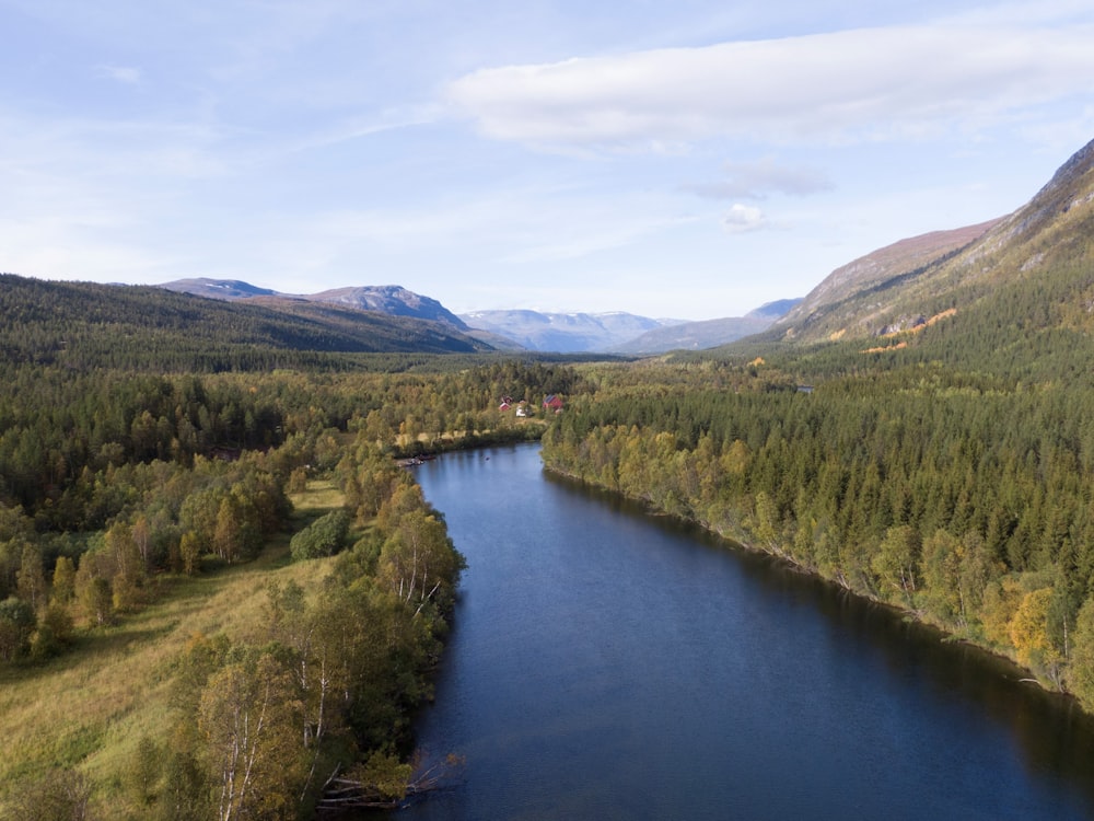 a river with trees and hills around it