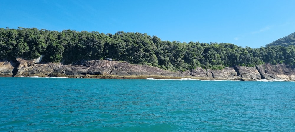 a rocky island with trees
