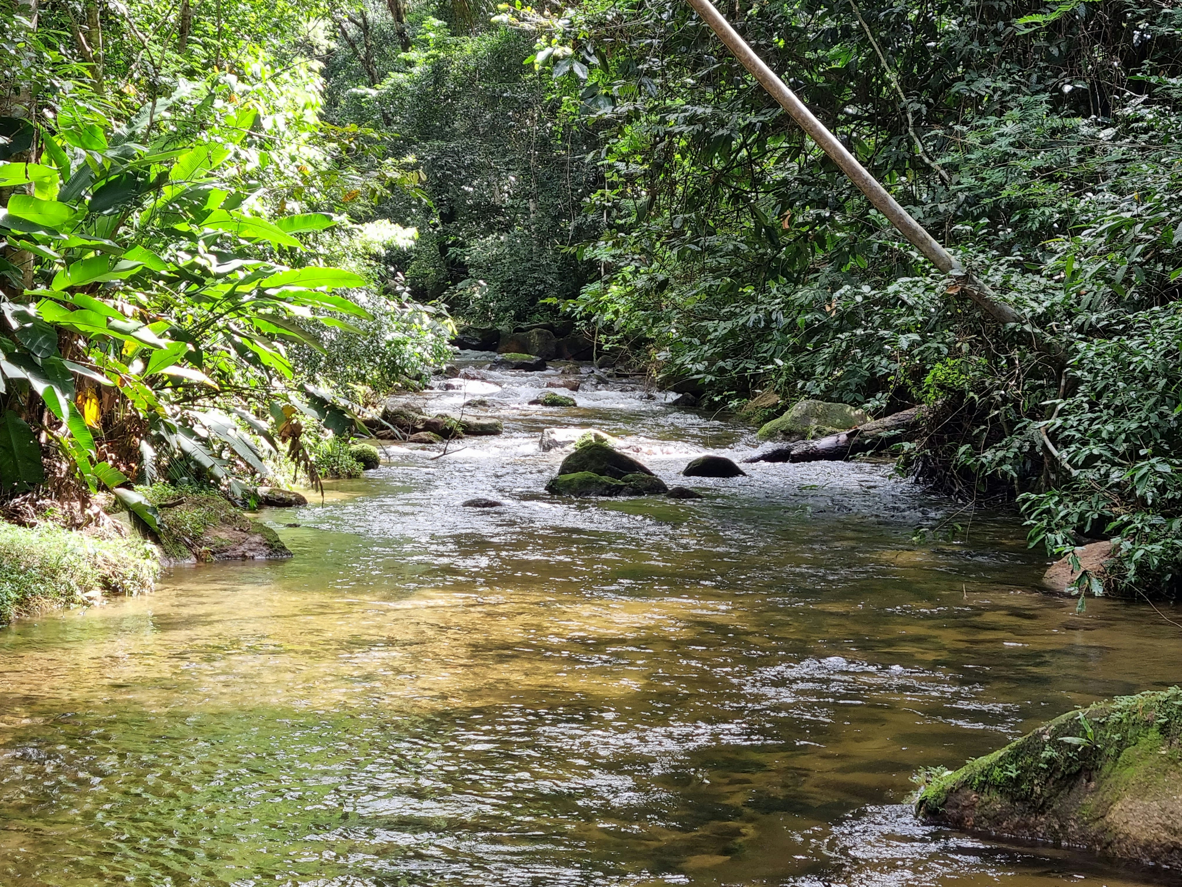 Photo by daniel_reghin